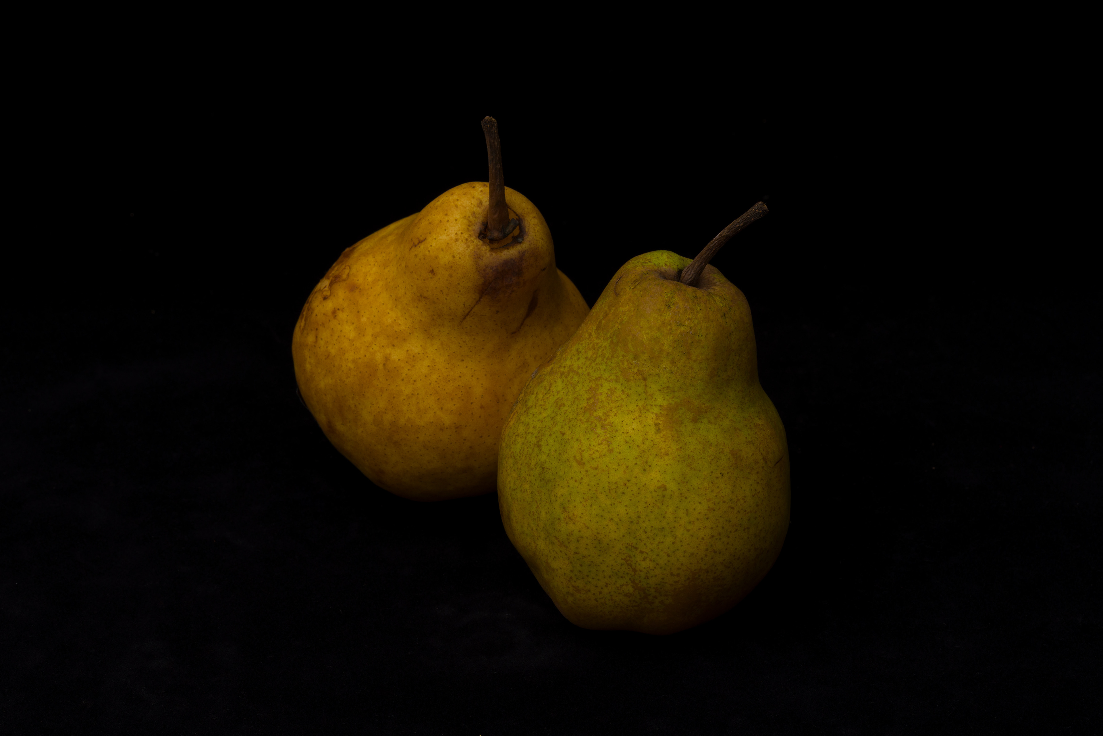 Mari&BuxBunny｜シーズン2　Photo : Yusuke Komiyama 