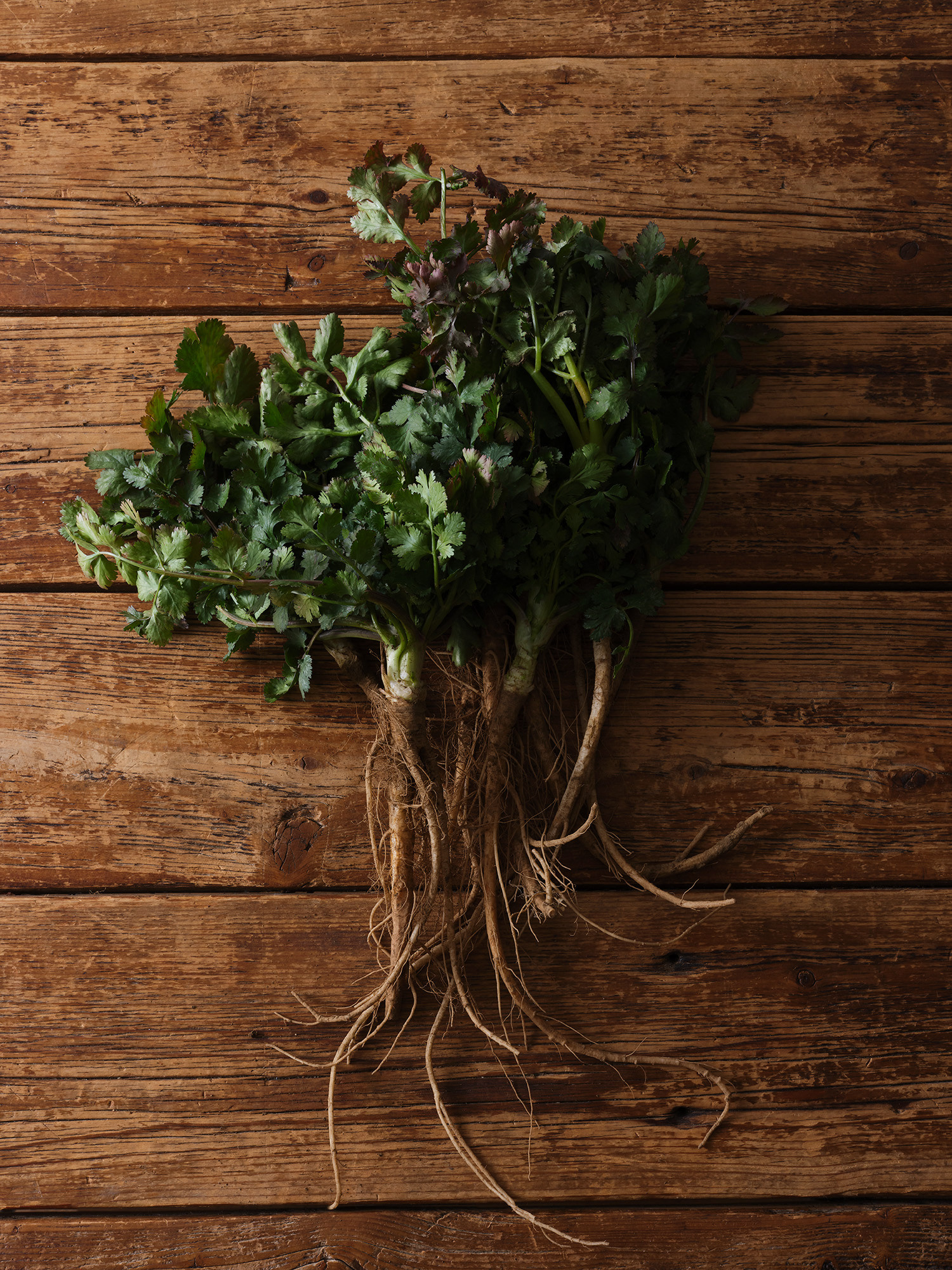 Photo : Yusuke Komiyama