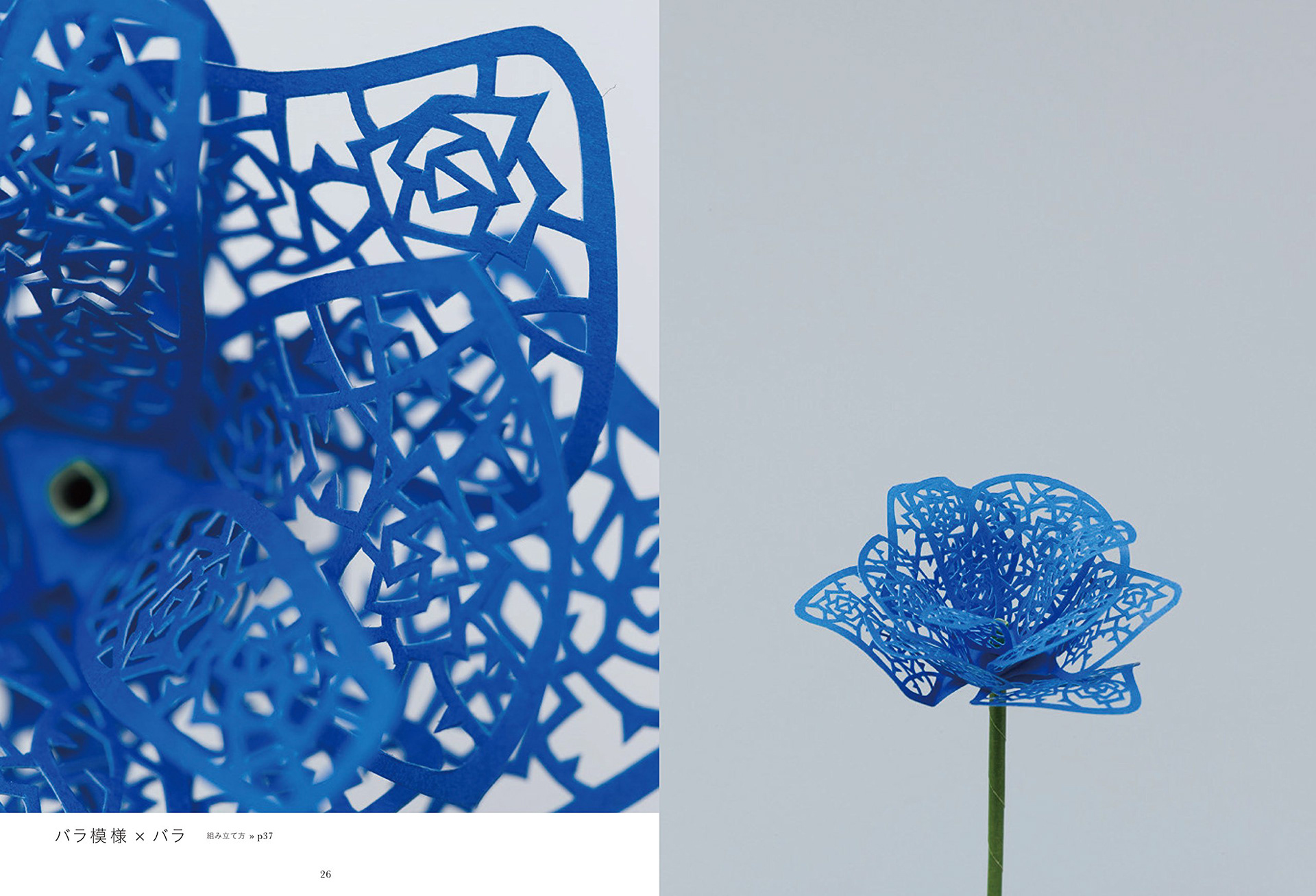 濱直史の立体切り絵|濱直史 Photo : Rika Wada