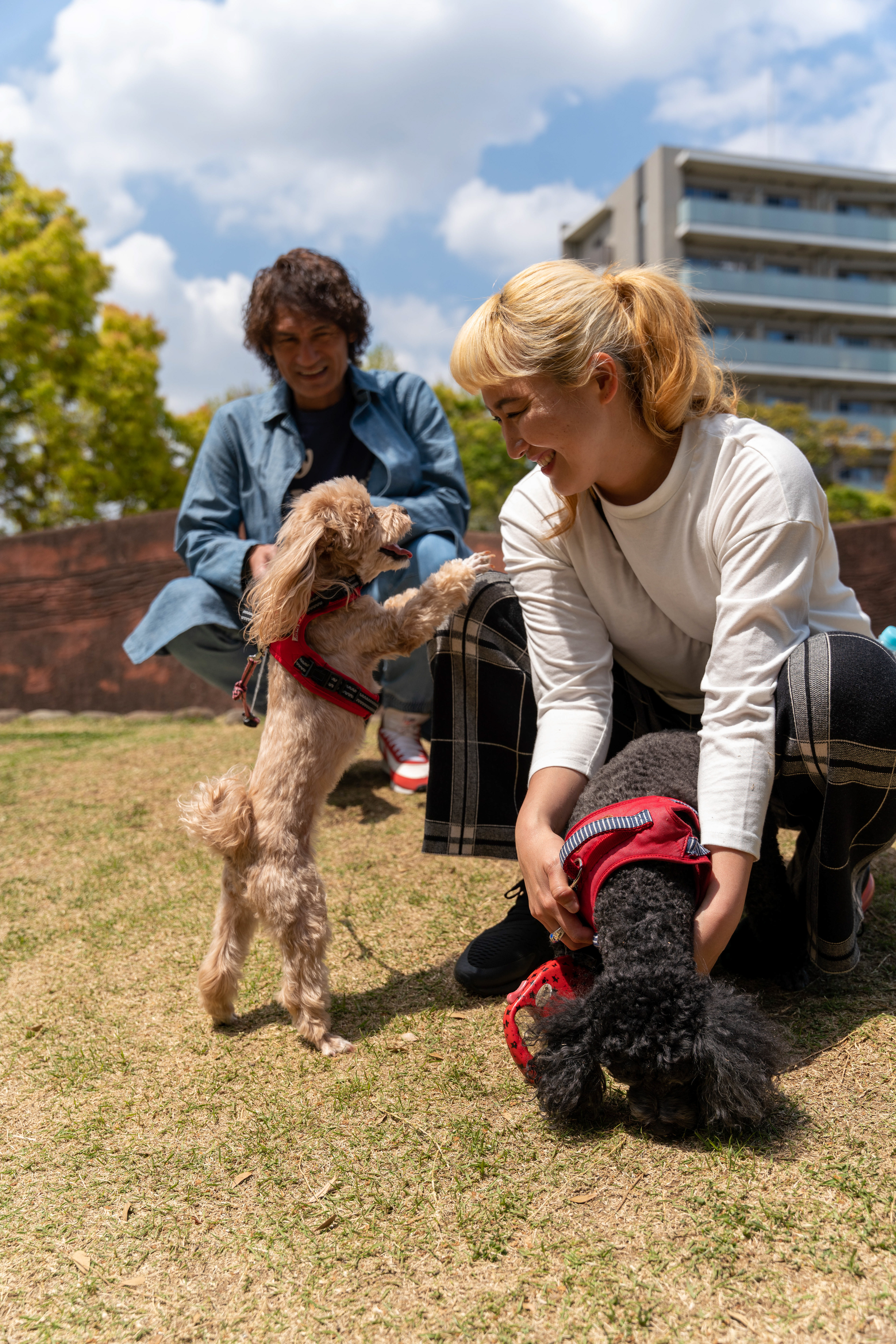 Photo : Yusuke Komiyama