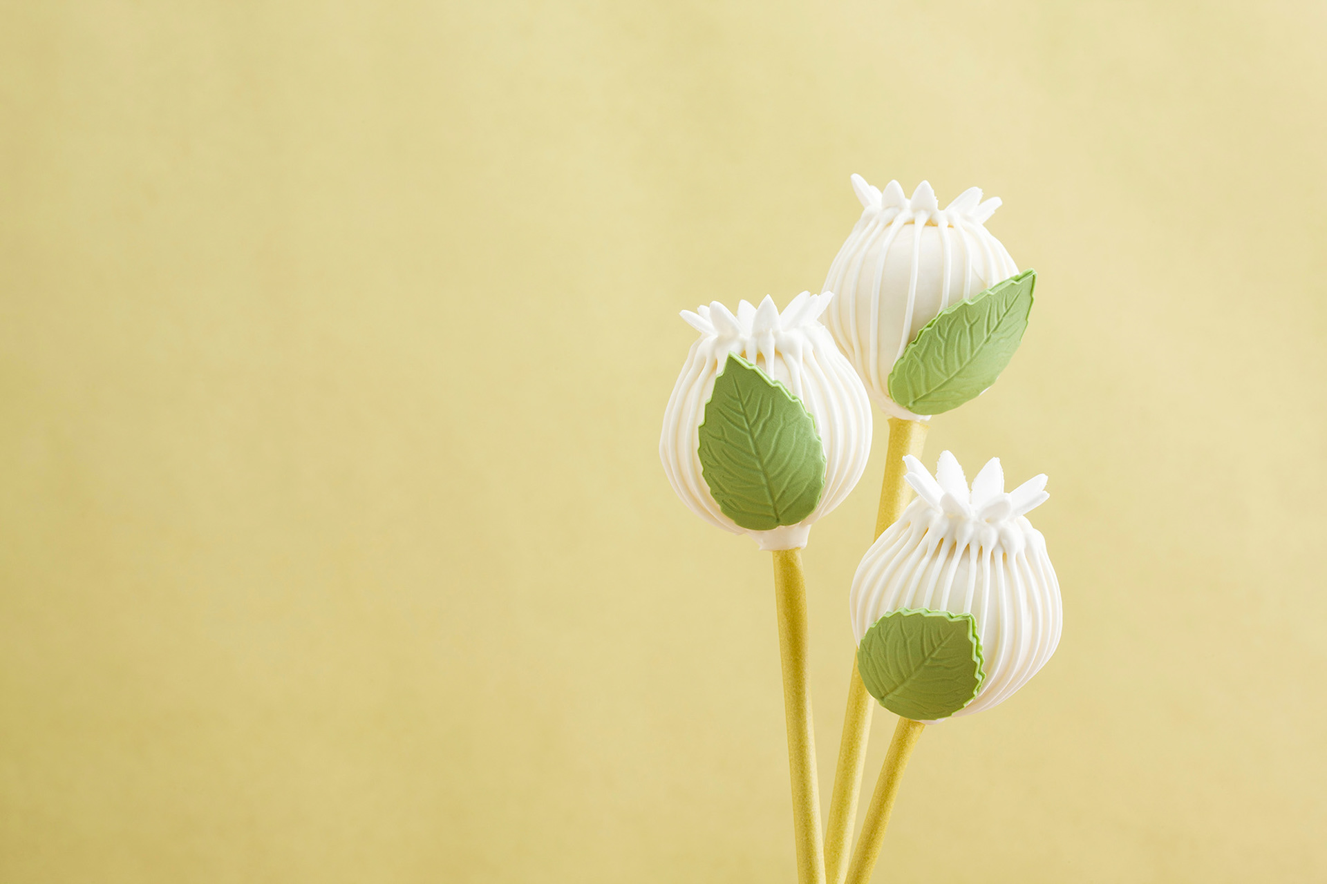 Cake Pops|秋葉ひろこ(Doze Life Food) Photo : Rika Wada