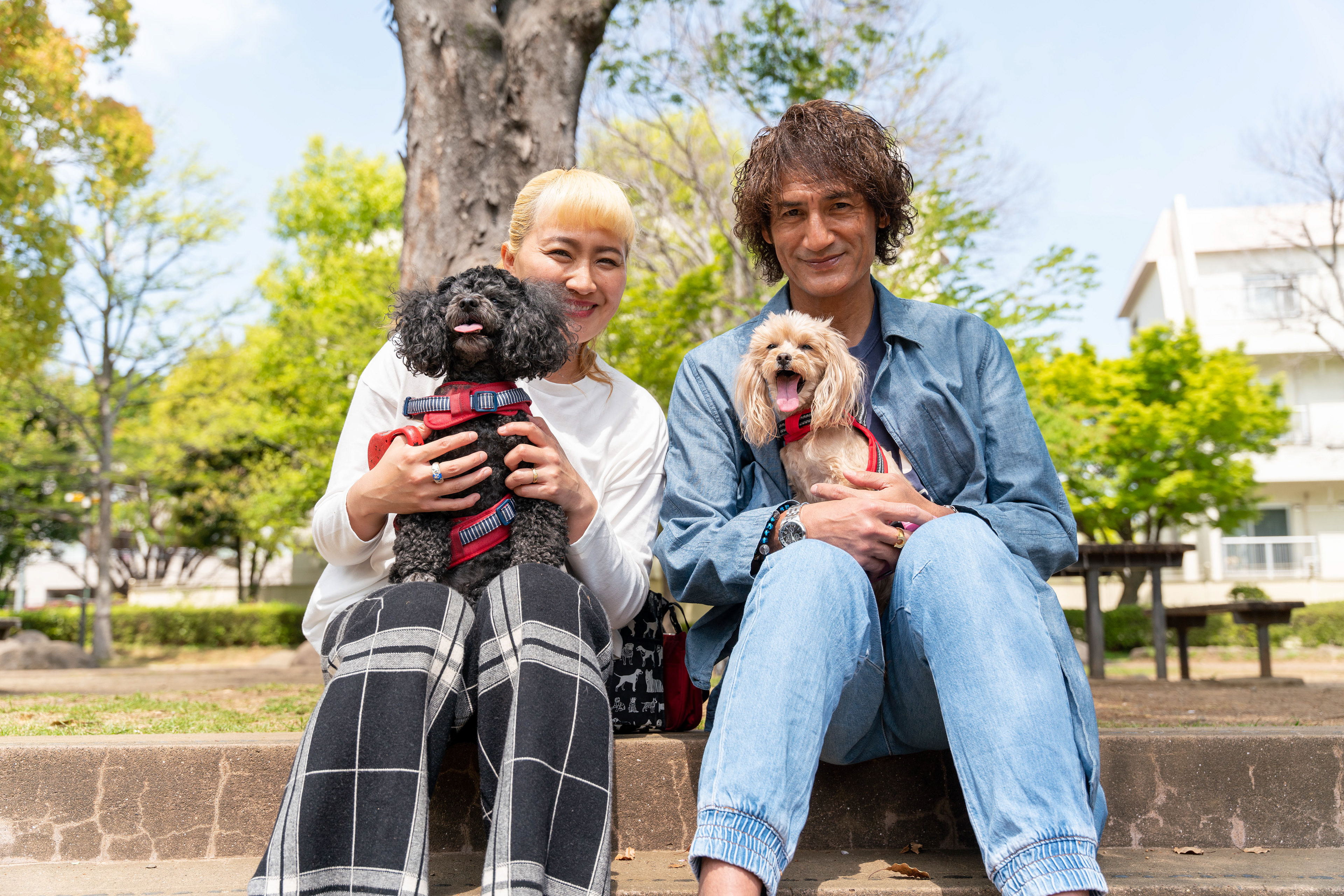 Photo : Yusuke Komiyama