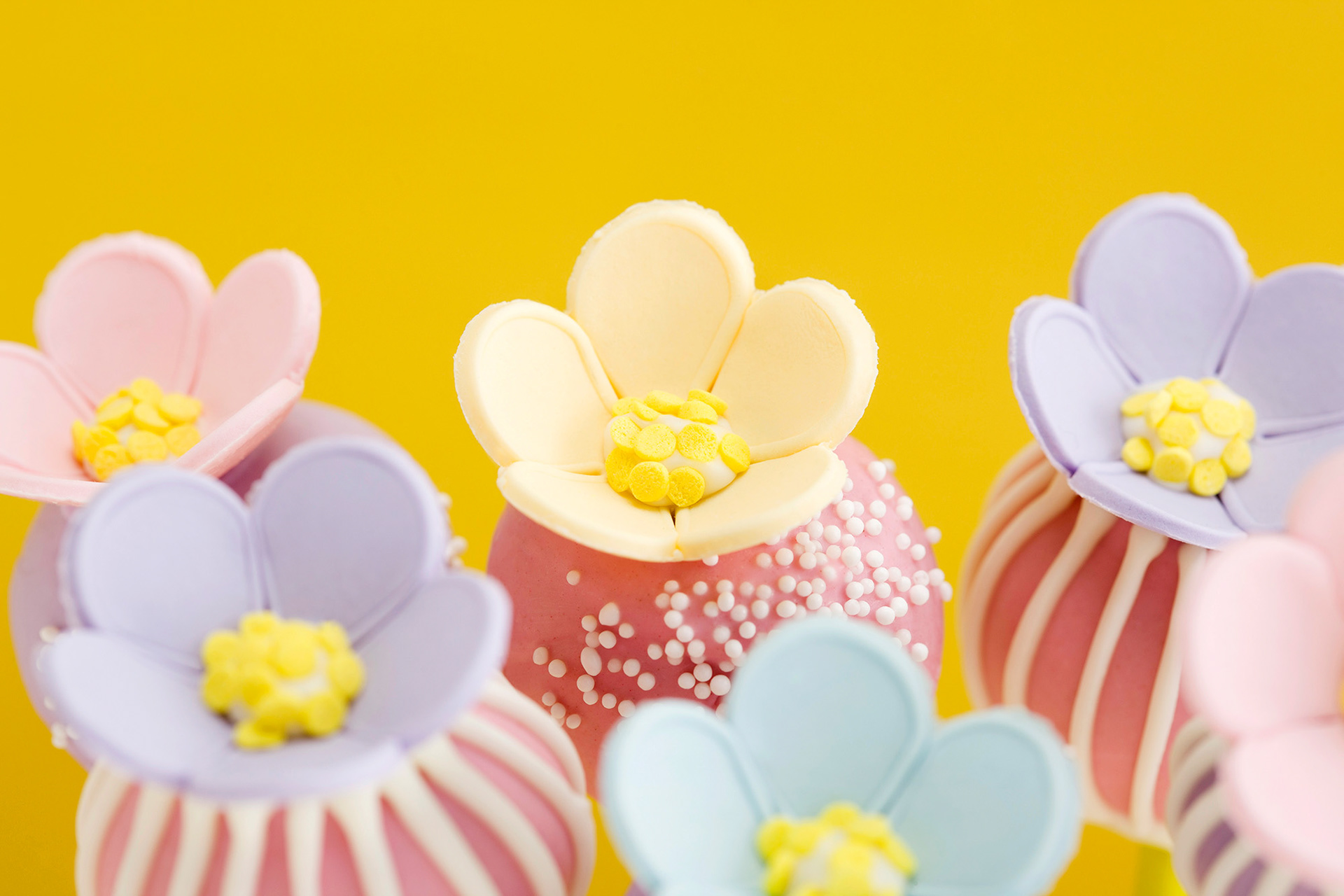 Cake Pops|秋葉ひろこ(Doze Life Food) Photo : Rika Wada