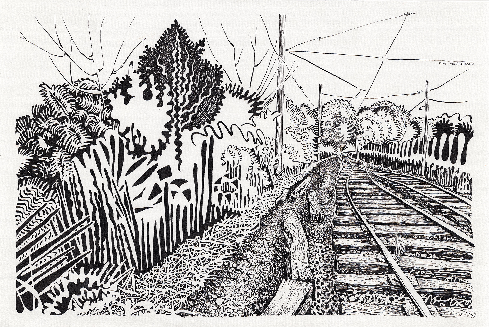 Trolley Trail
