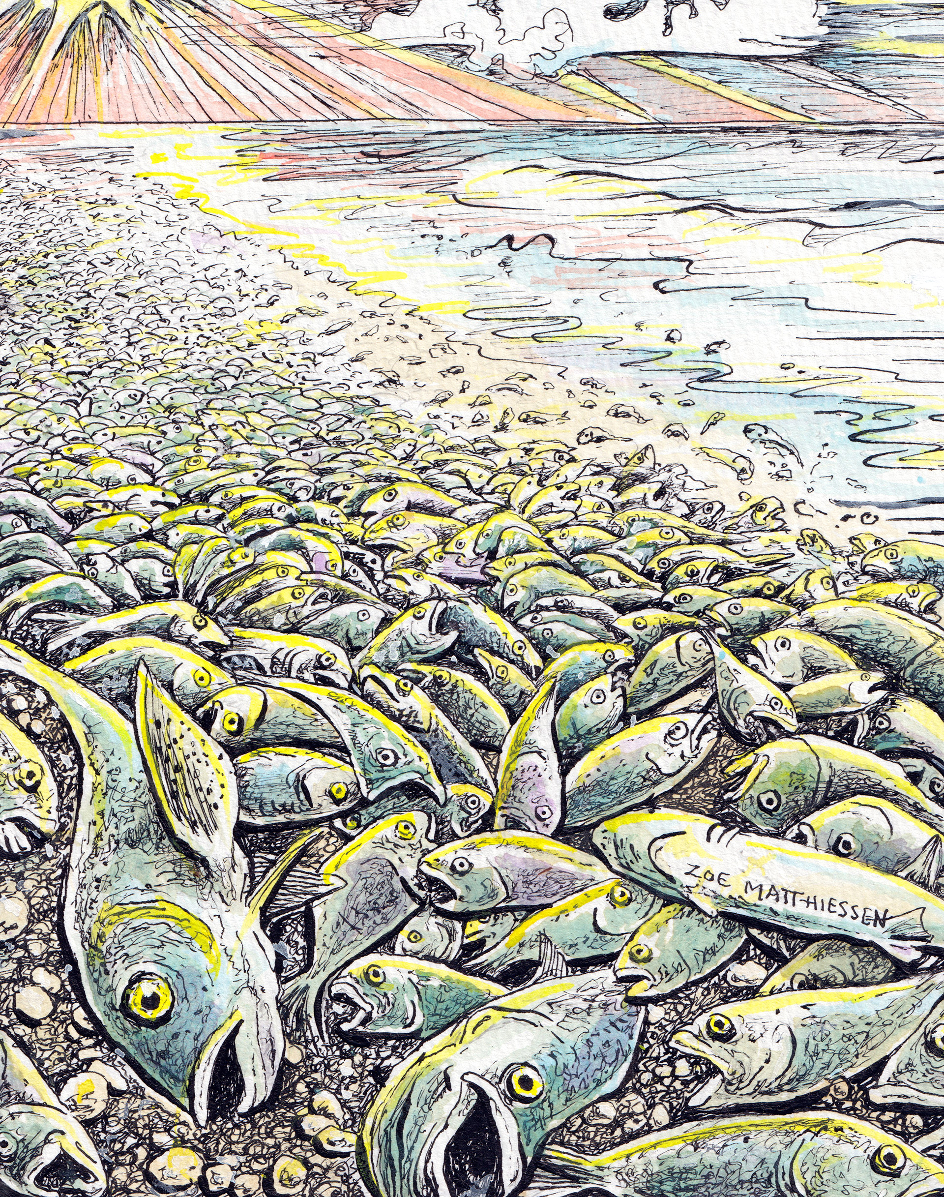 As Far As The Eye Can See-The Nation