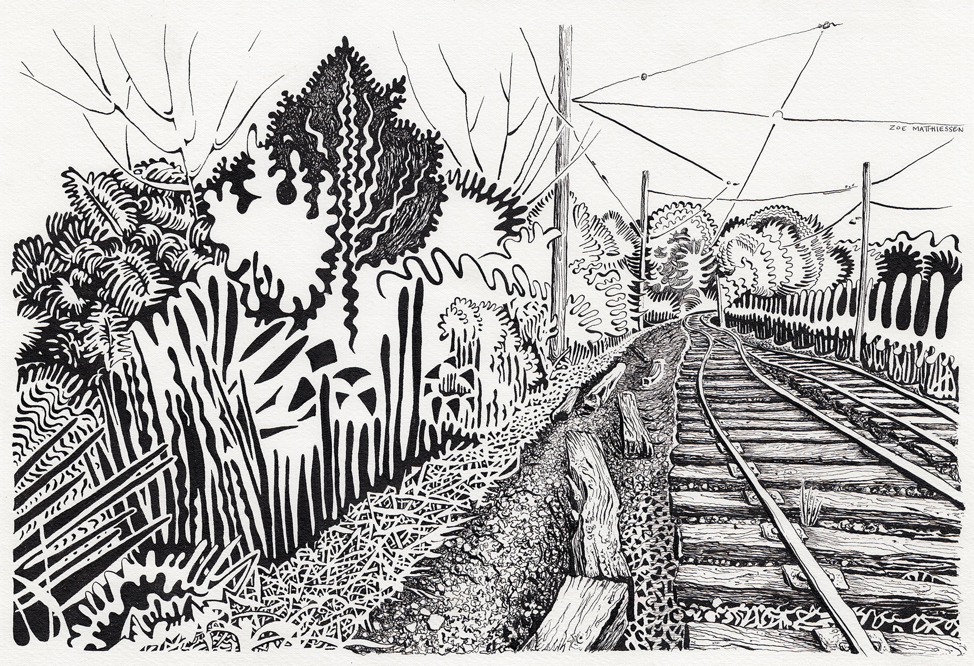 Zoe Matthiessen, nature illustrations, landscapes, watercolor, pen and ink