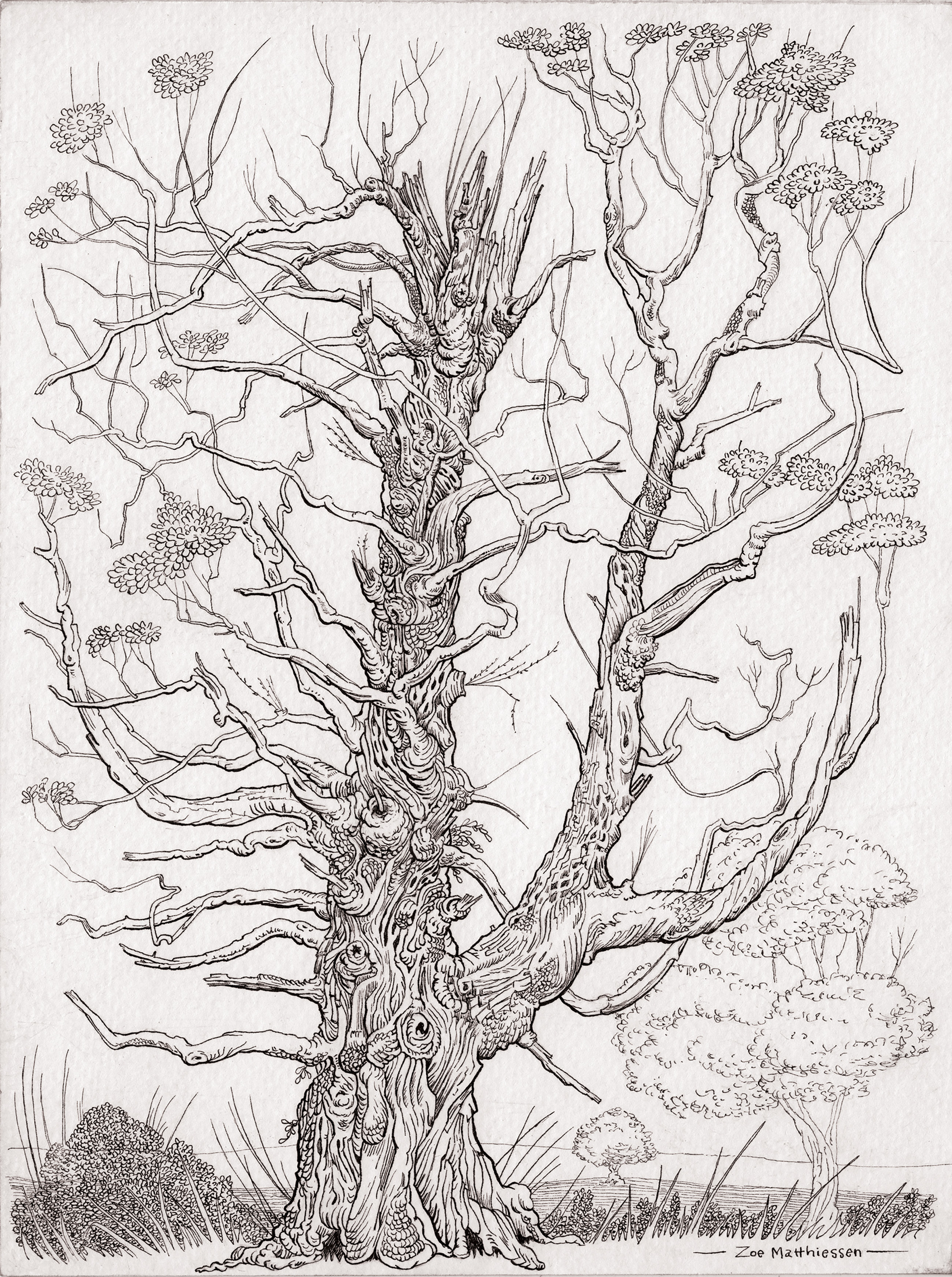 Tricky Tree