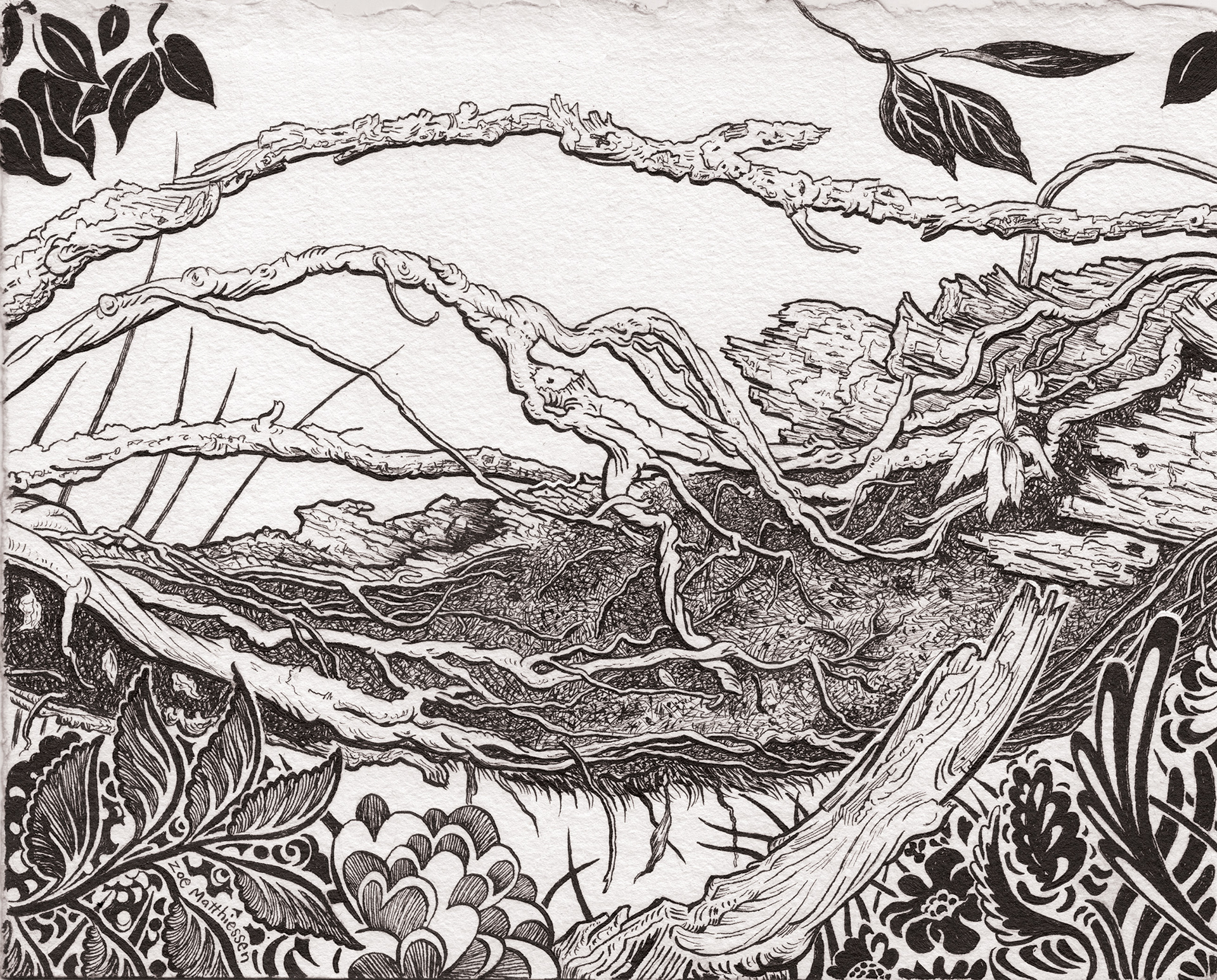 Whale of the Woods
