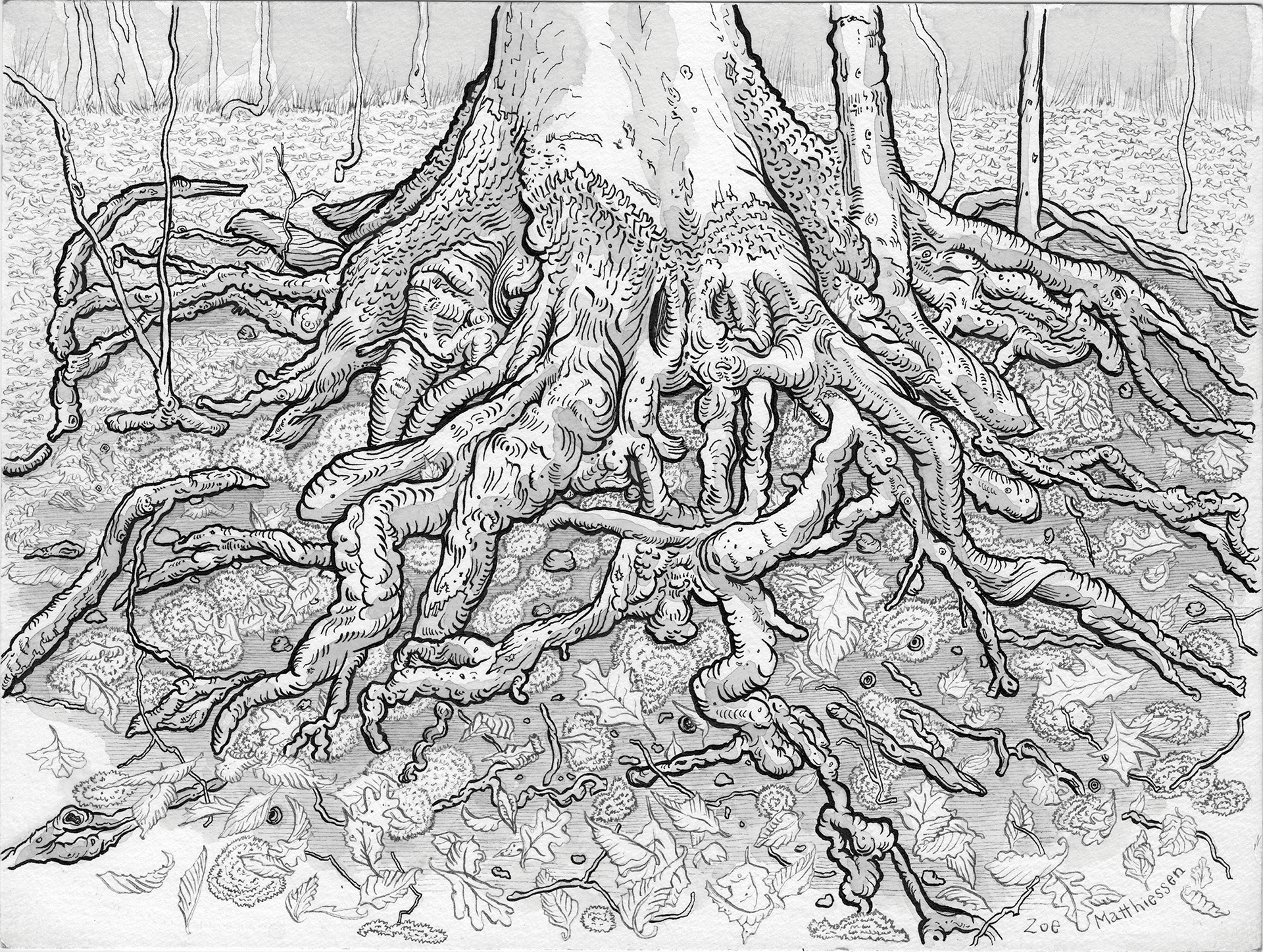TreeRantula