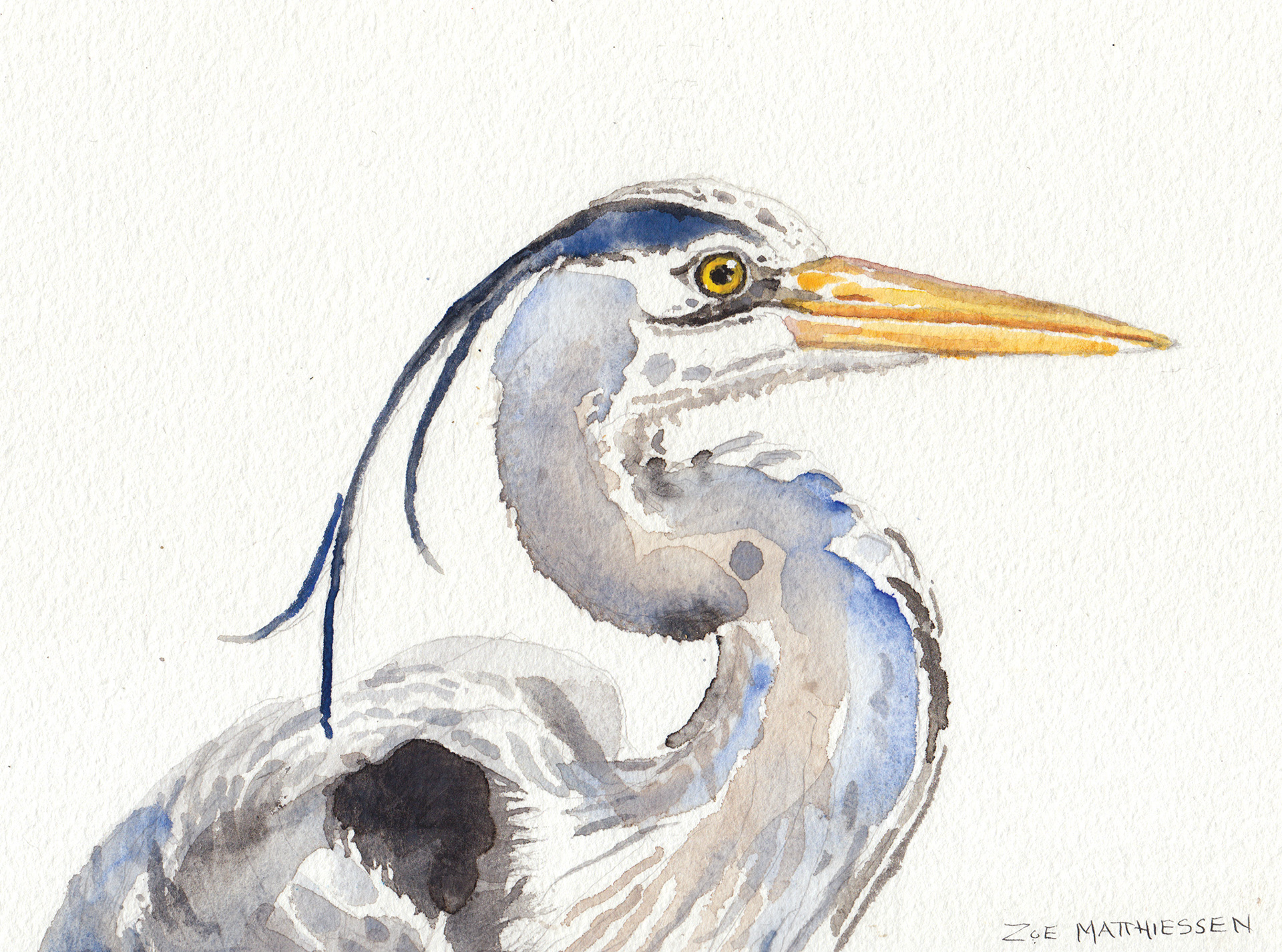 Blue Heron (Left Hand)