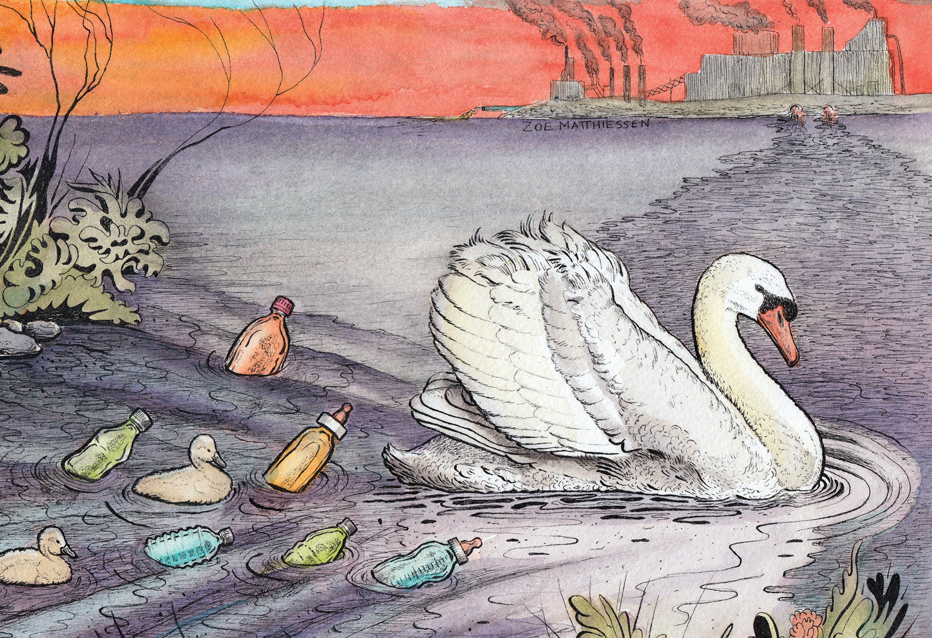 Zoe Matthiessen, ecocide illustrations, editorial and environmental art