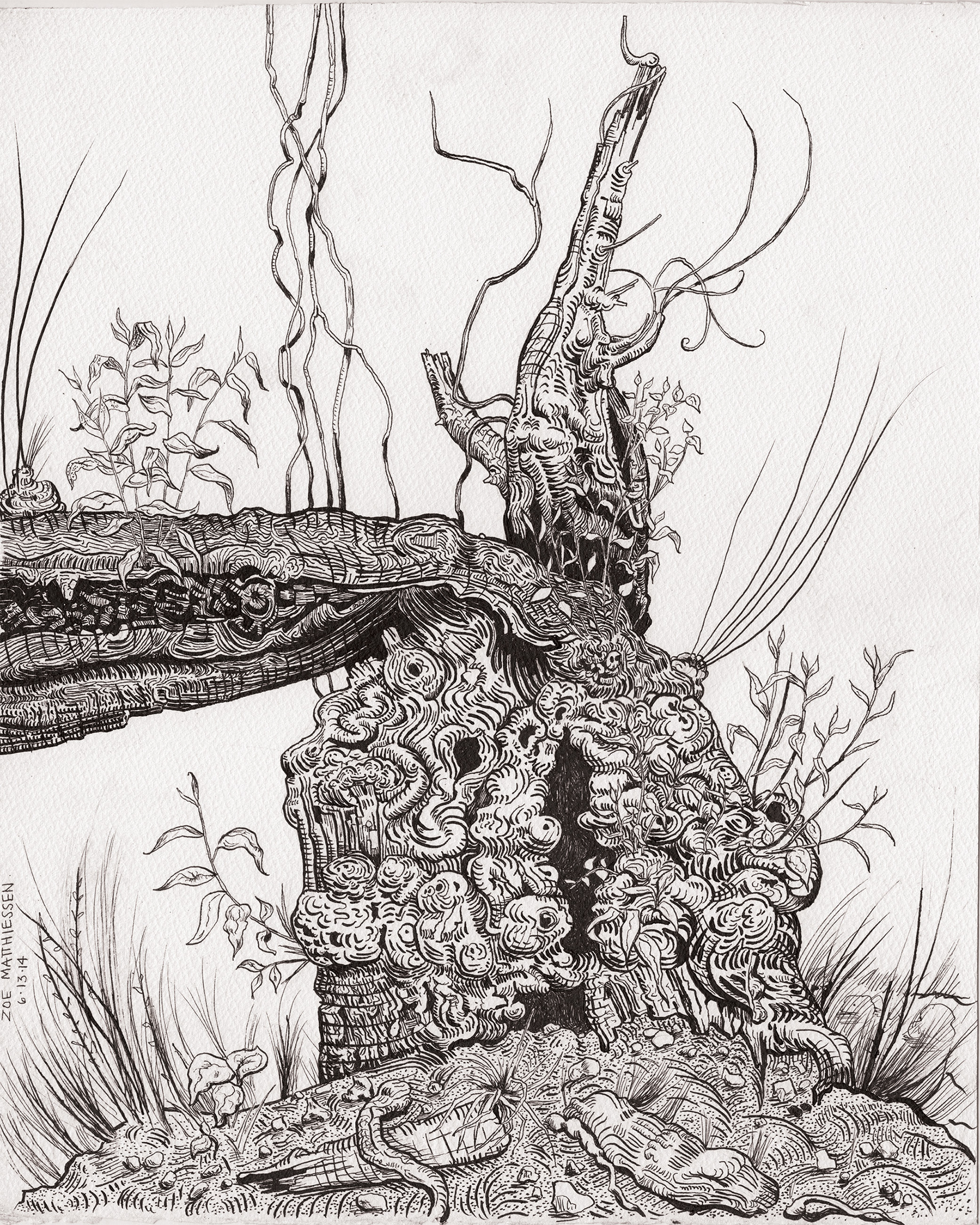 Swamp Thing