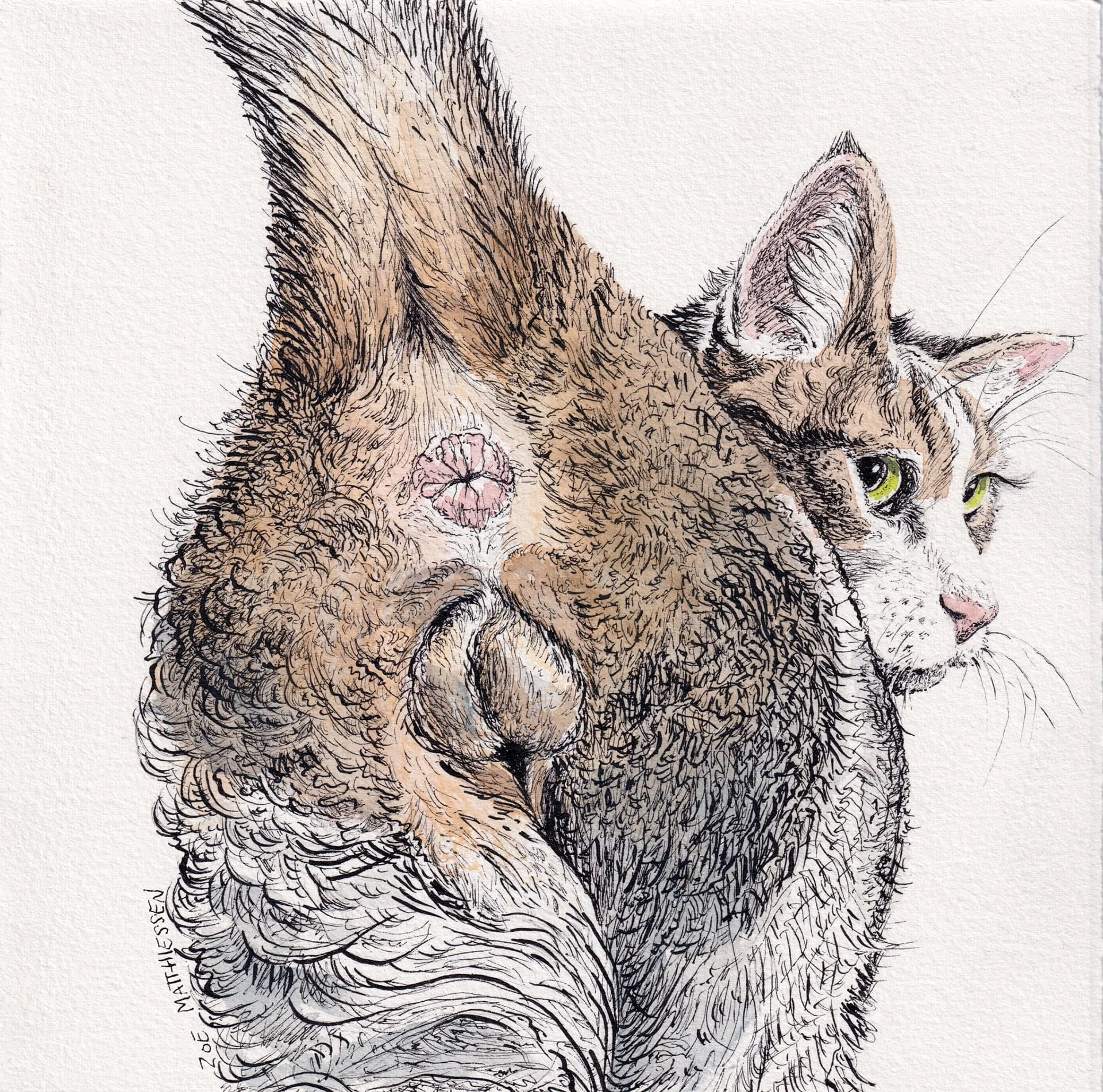 Ninushka from St. Kittiesburg