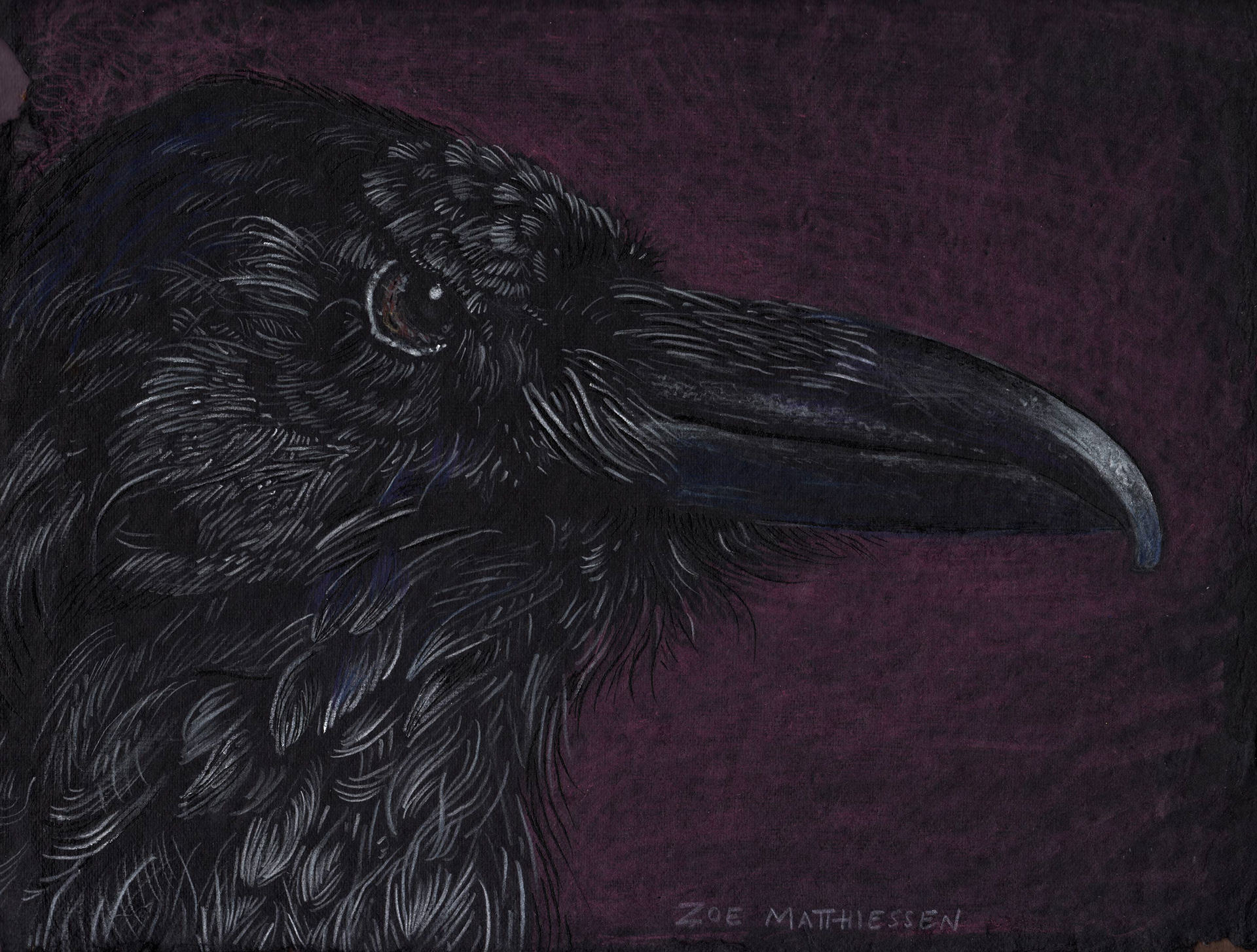 Night Raven