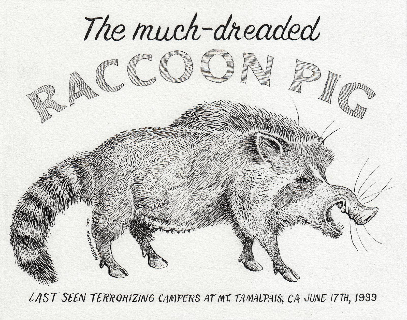 Raccoon Pig