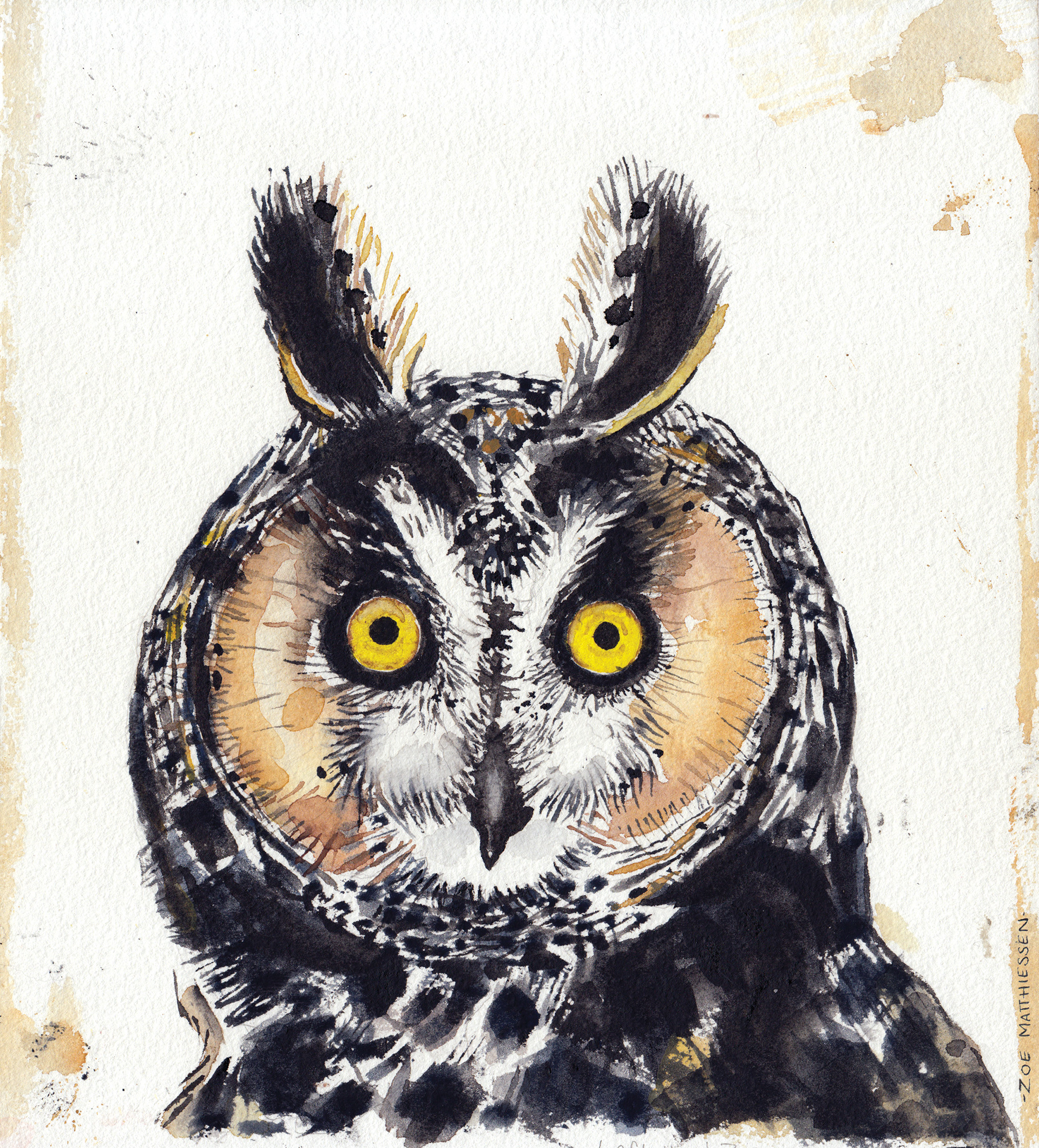 Owl (Left Hand)