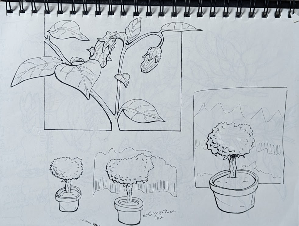 Plant Exploration