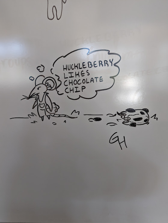 Whiteboard Sketch