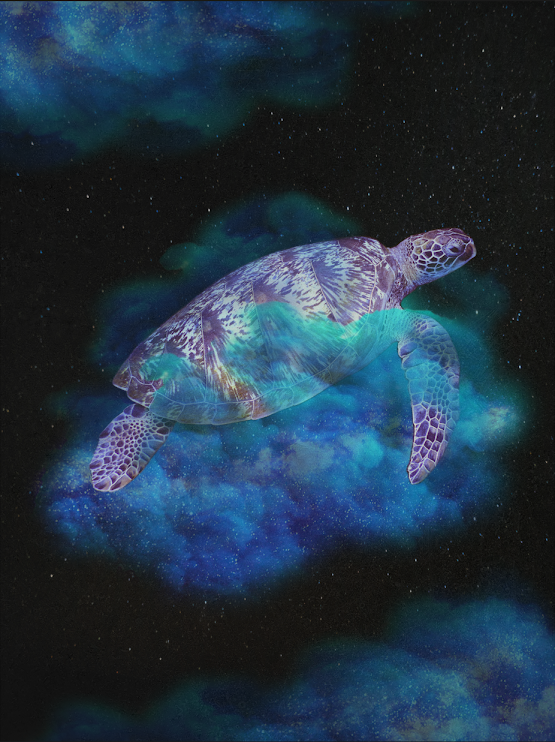 Stars in the Sea
