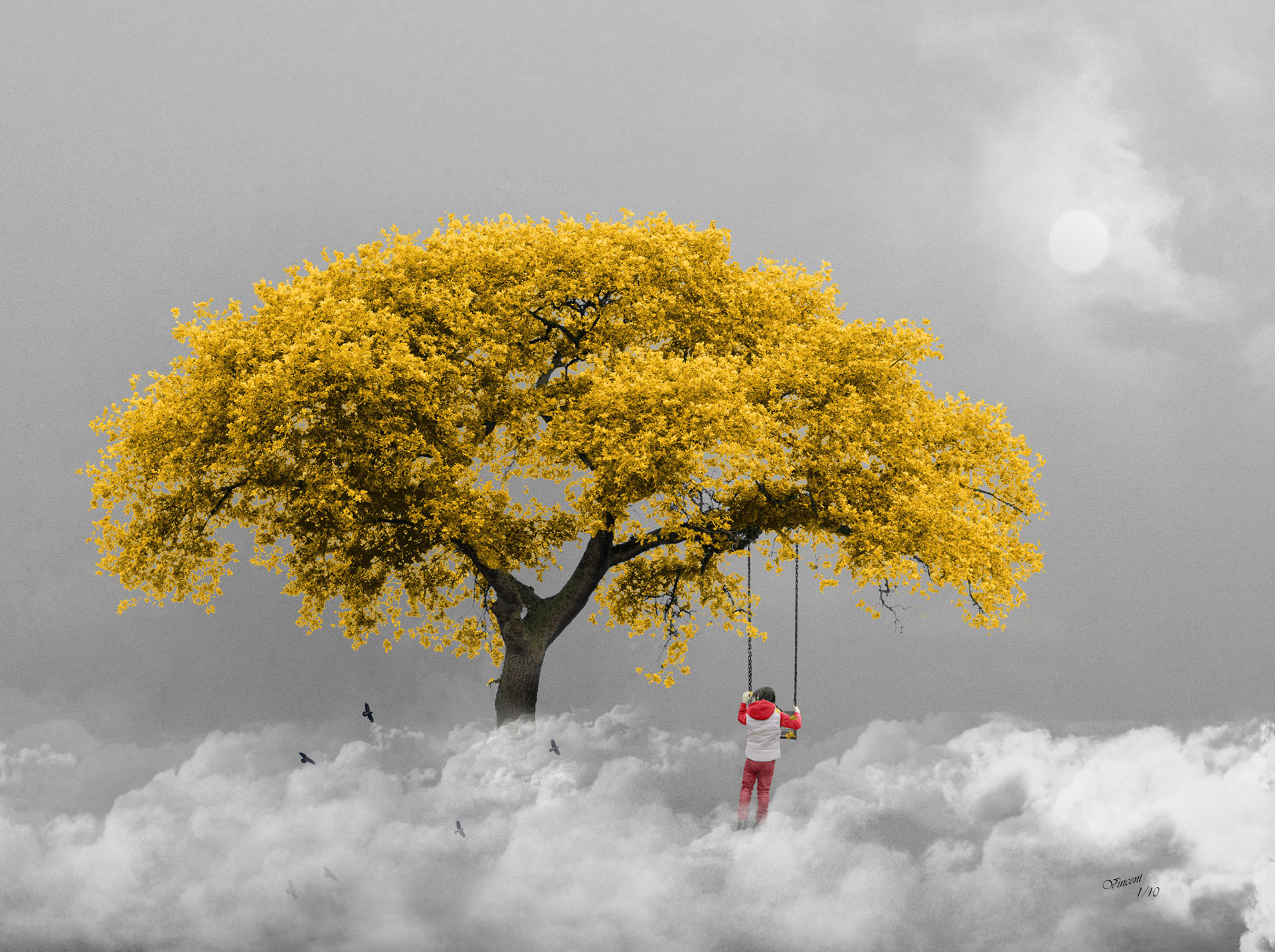 © 126 In Paradise jaune