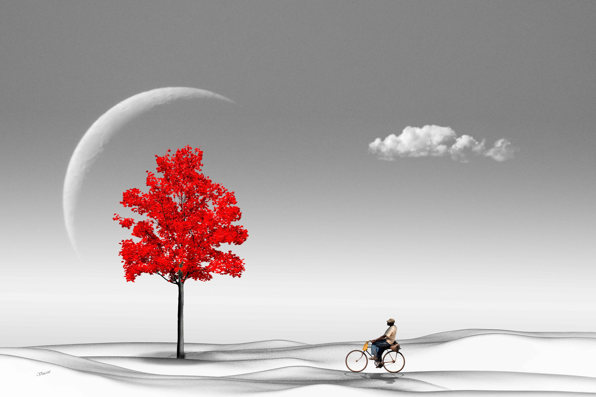 © 317 Balade Onirique..........Se promener au hasard, sans hâte. Se nourrir de ses pensées, de ses rêves.