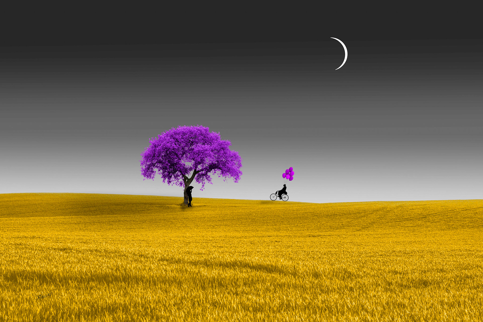 © 306 Ballade au clair de lune (jaune).