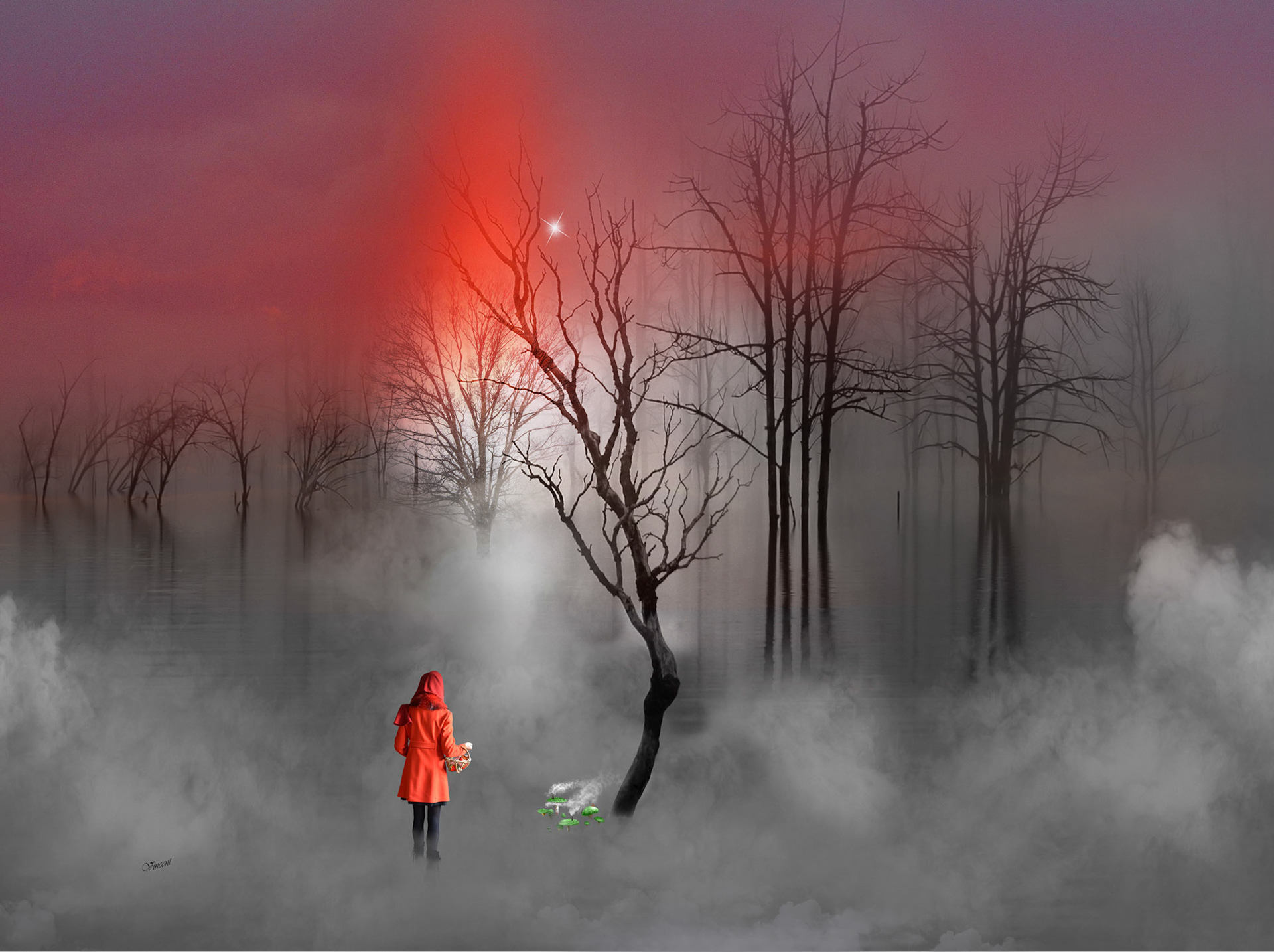 © 122 Cueillette aux champignons