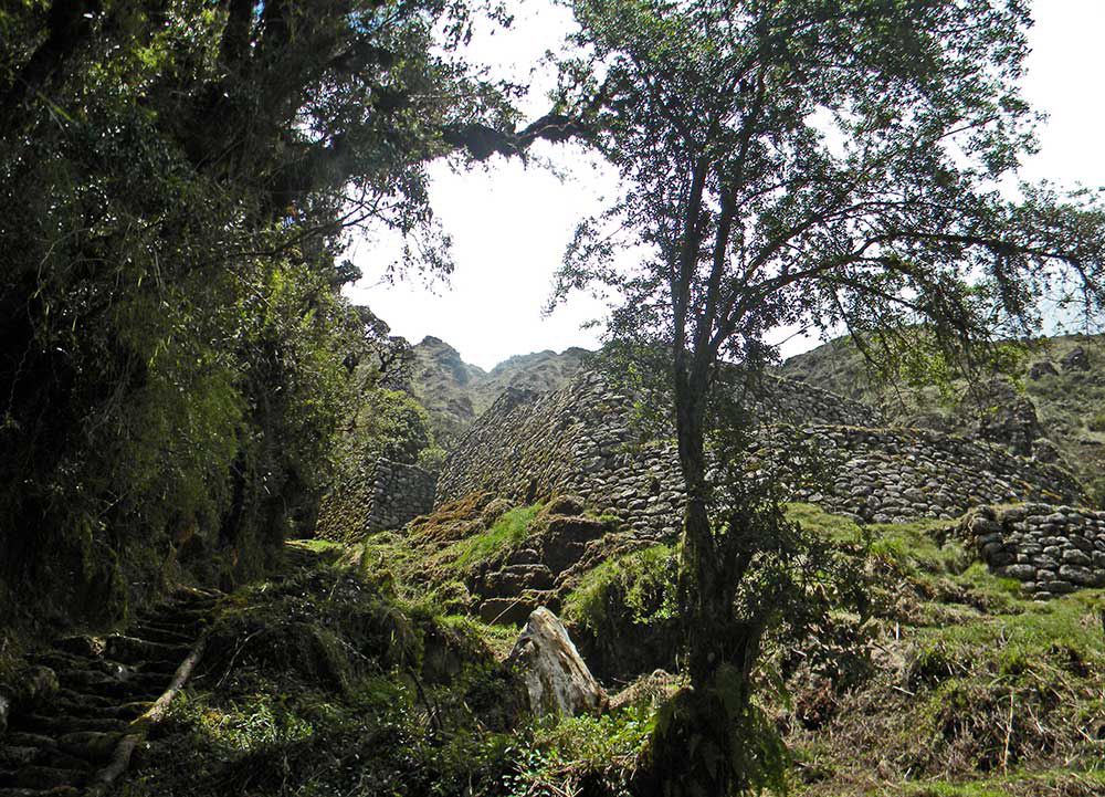 Entrada a Machu Picchu