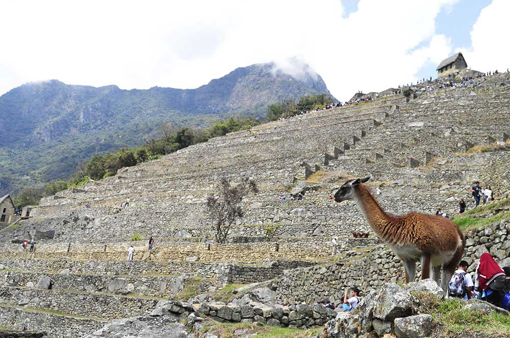 Santuario Histórico, Parque Arqueológico Nacional de Machu Picchu