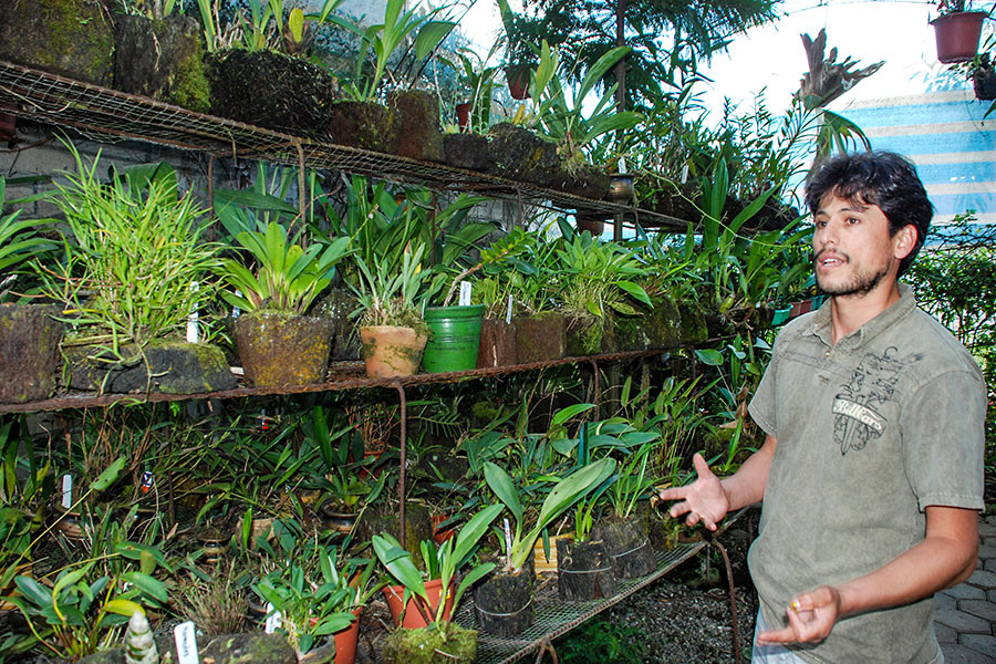 Vivero de Orquídeas Oxapampa