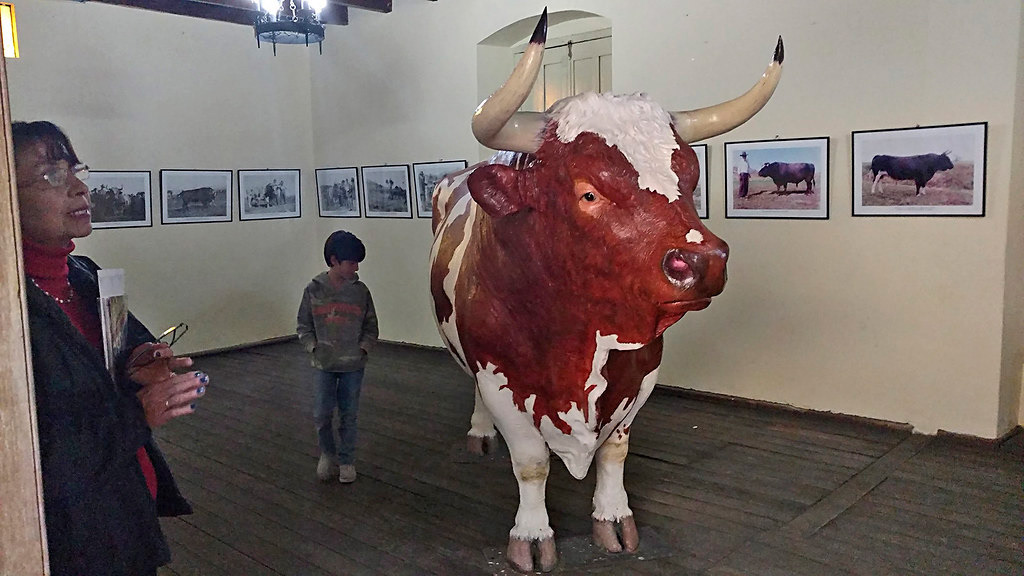 Museo de Menelik
