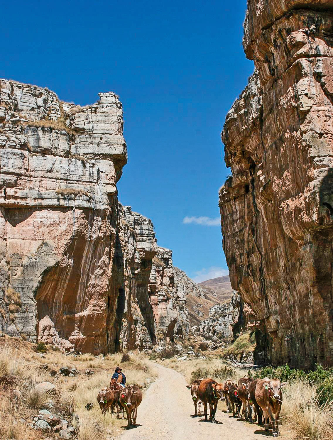 Cañon de Shujto en Canchaillo Jauja
