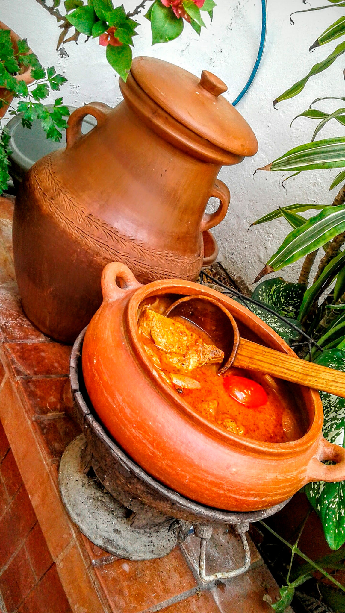 Adobo de chancho