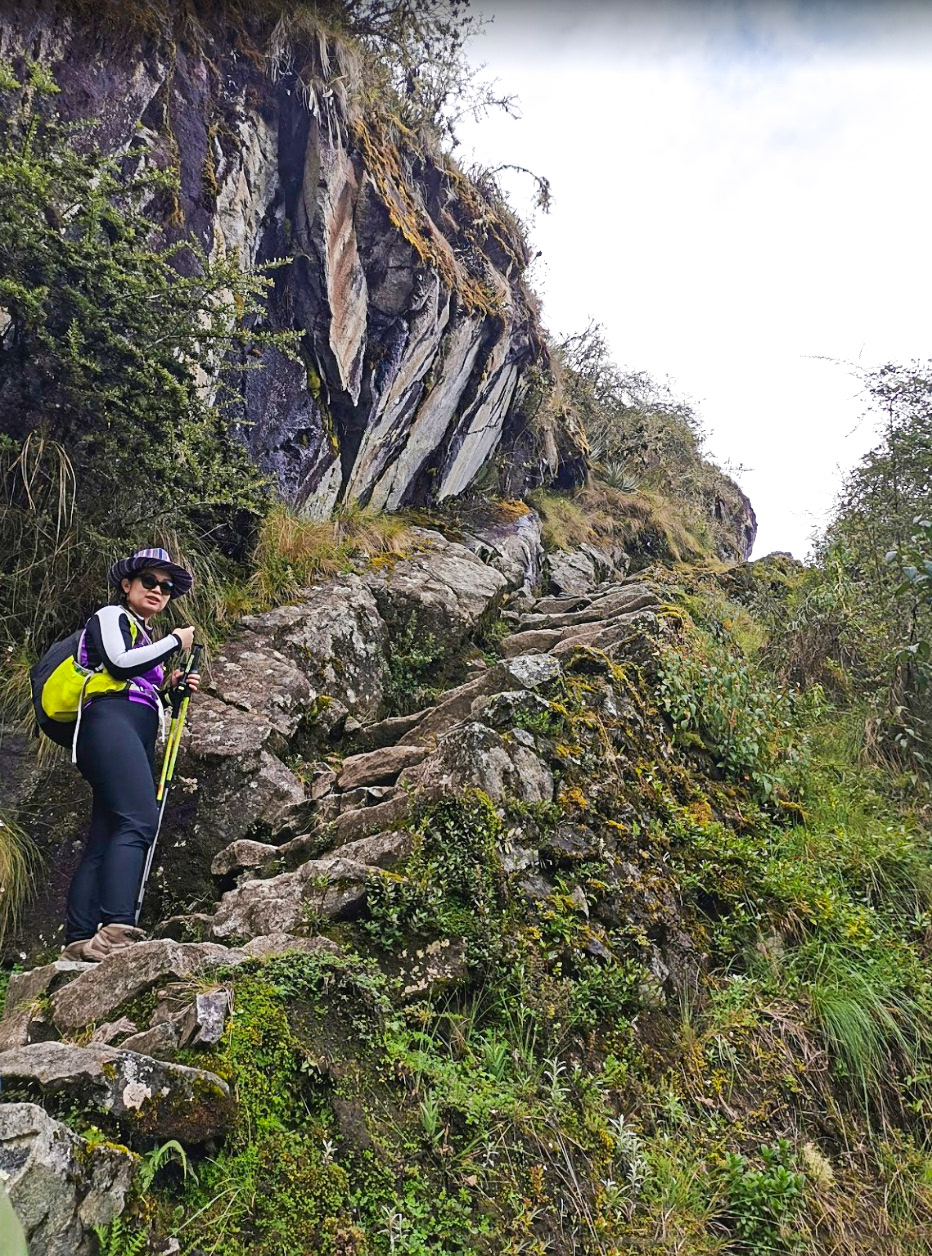 Camino a Machu Picchu