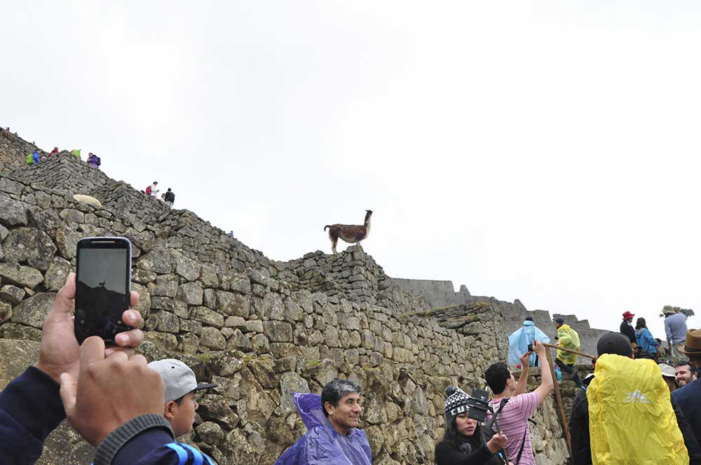 Santuario Histórico, Parque Arqueológico Nacional de Entrada a Machu Picchu