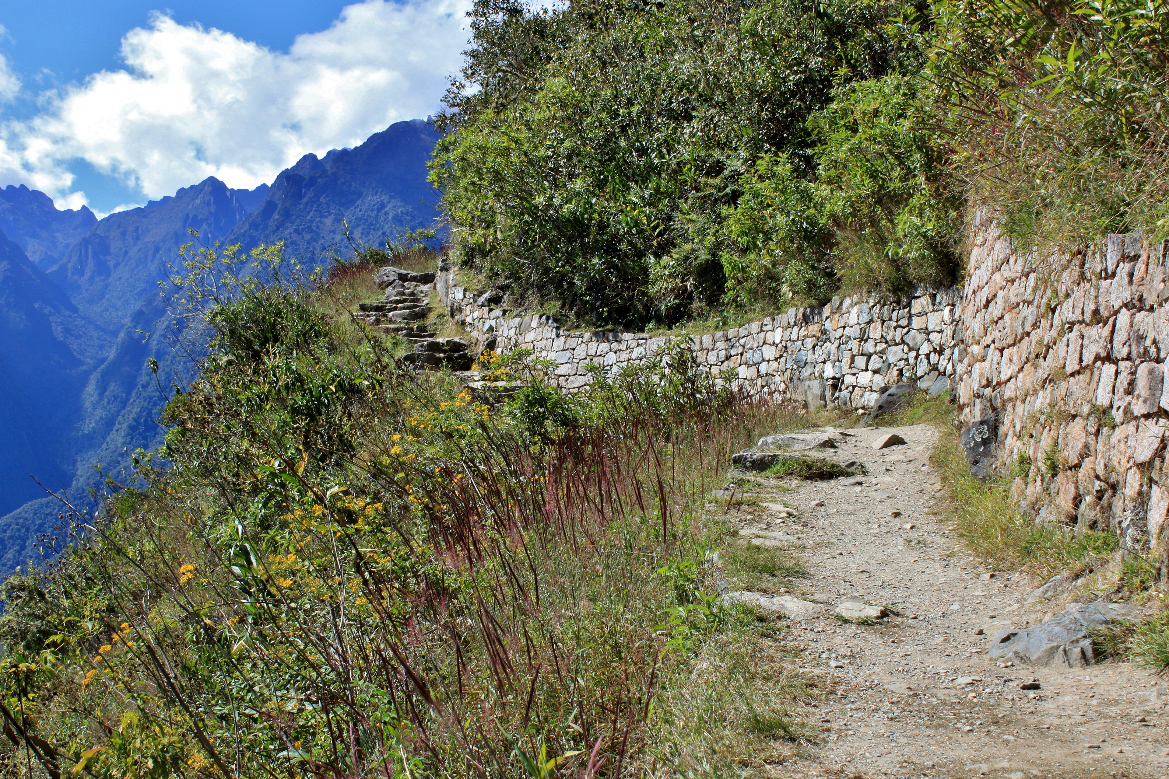 Camino a Machu Picchu