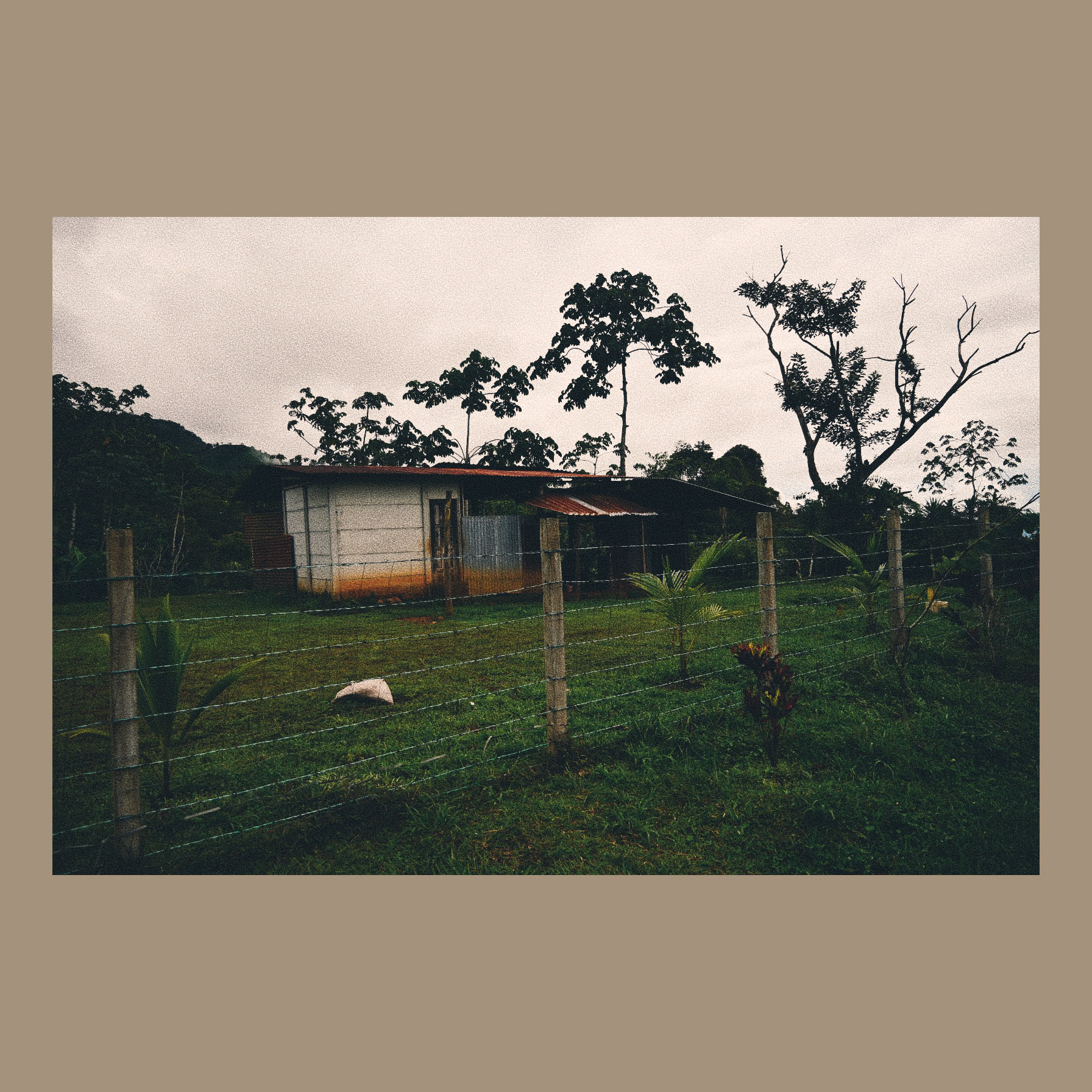El campo