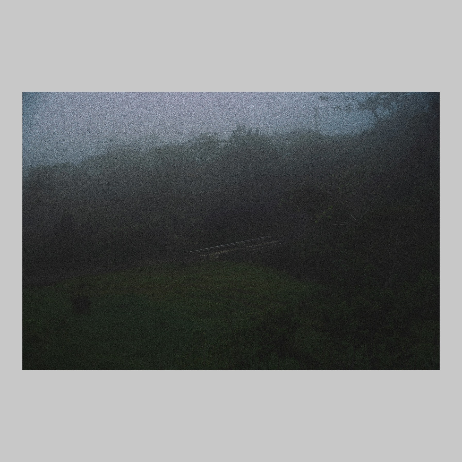 Costa Rica fog