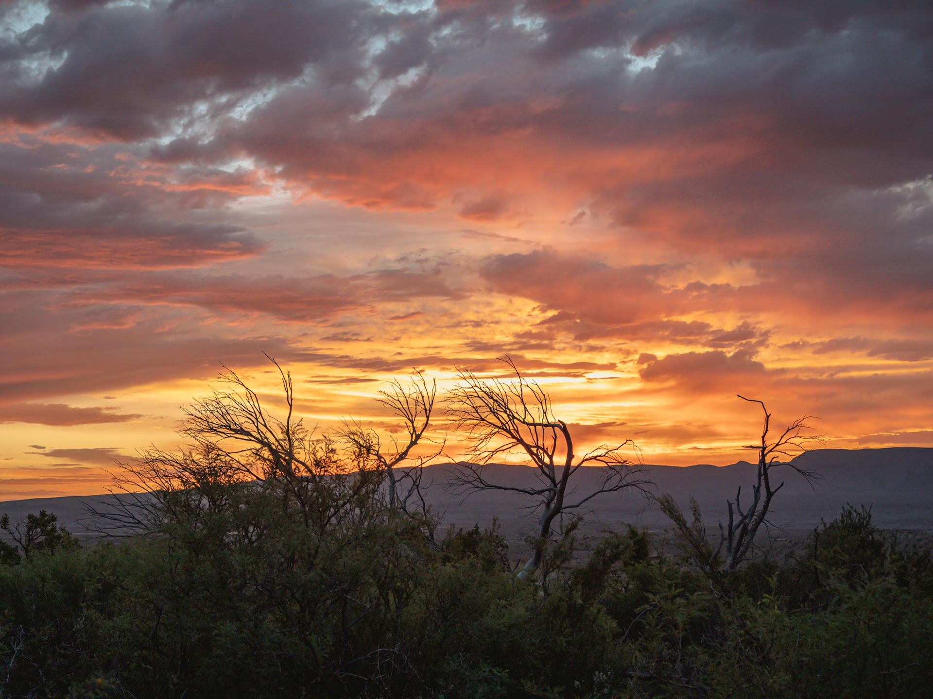 Terlingua Sunset