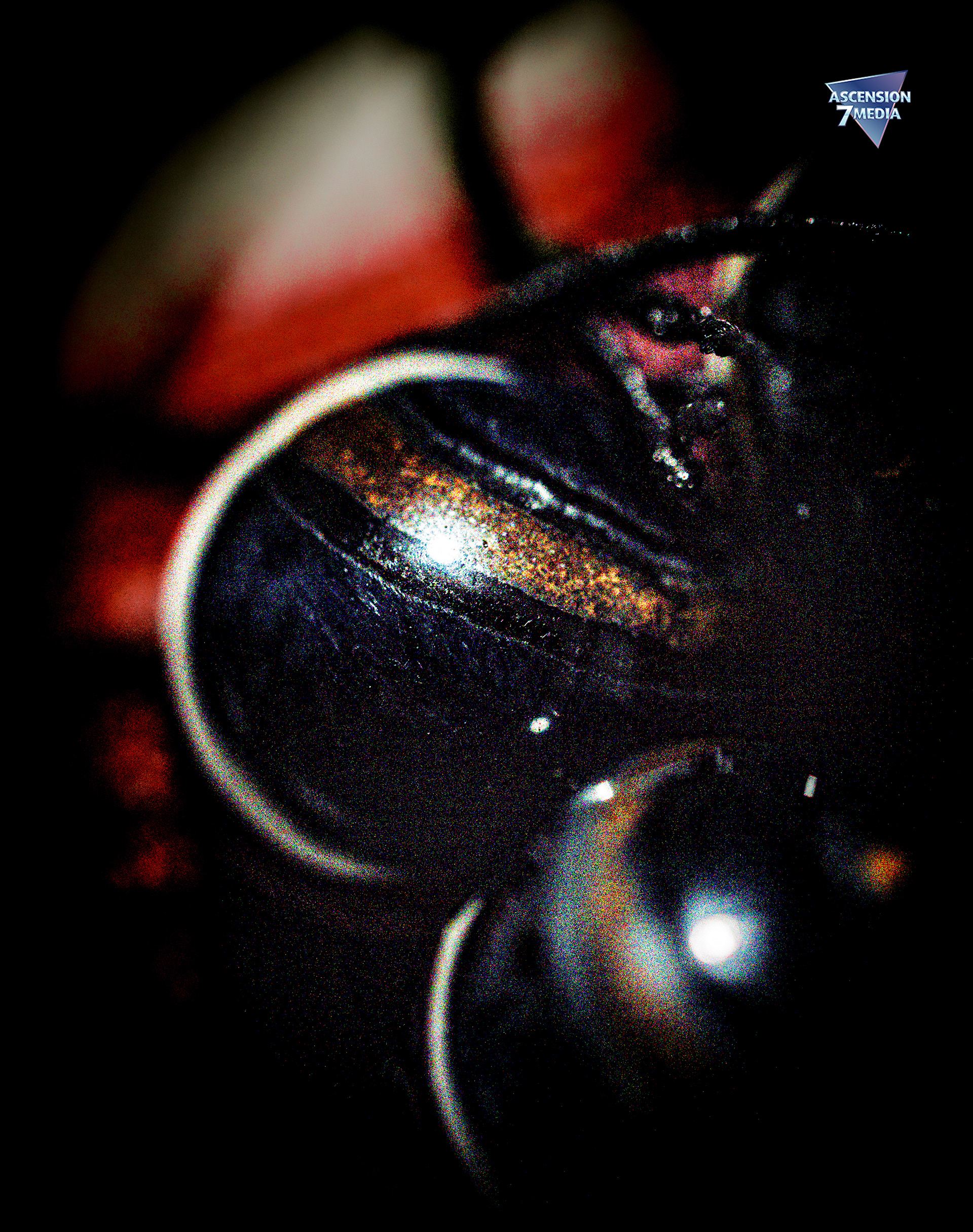 Kismet