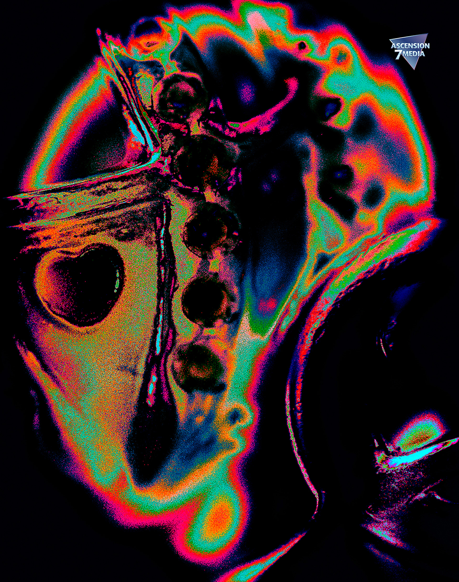 Pandora