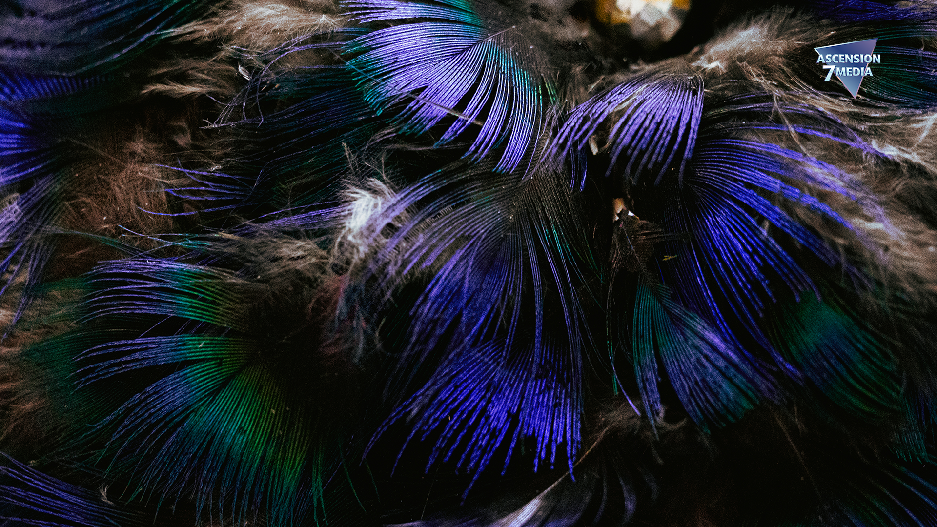 Forensic Photography 3