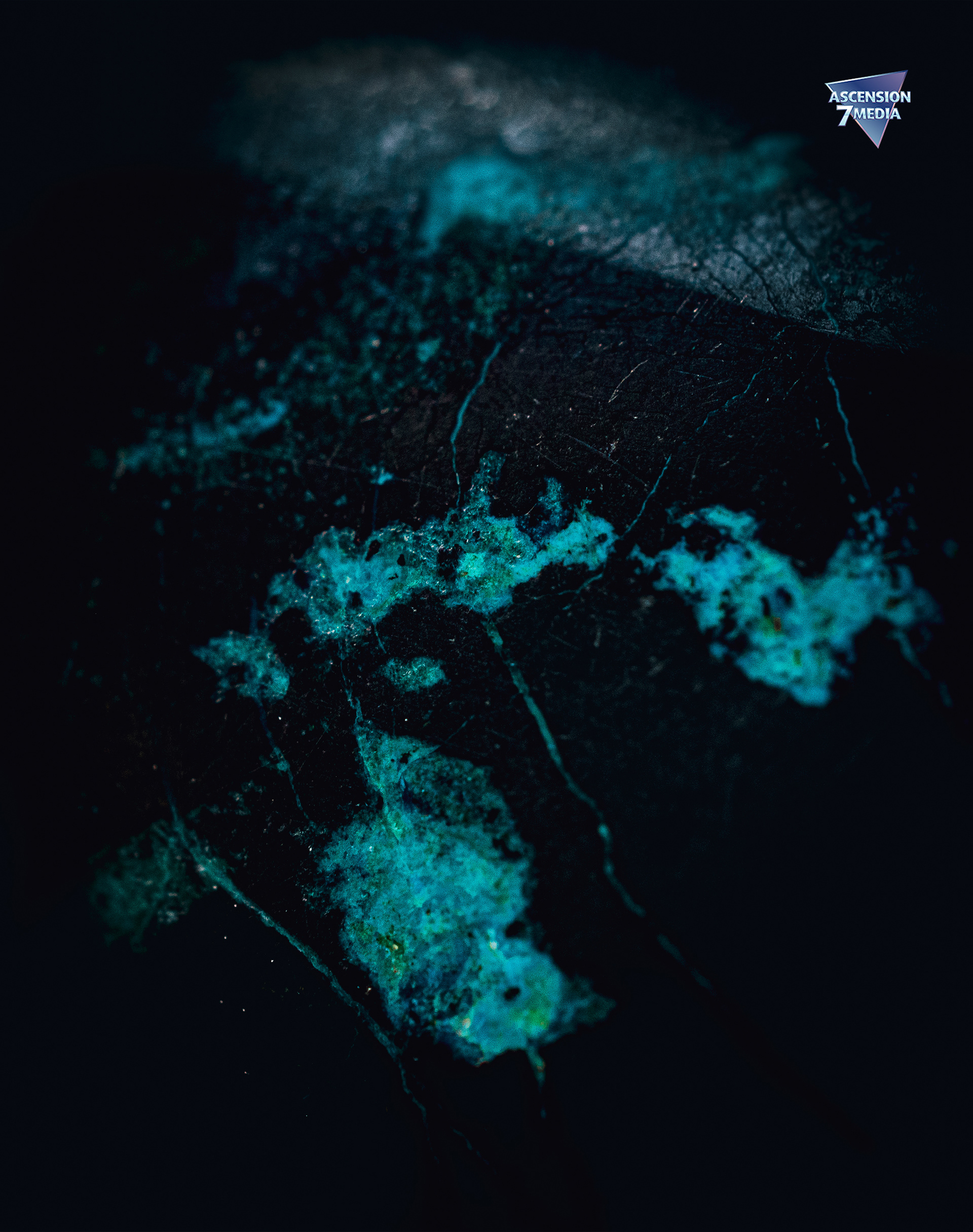 Chrysocolla