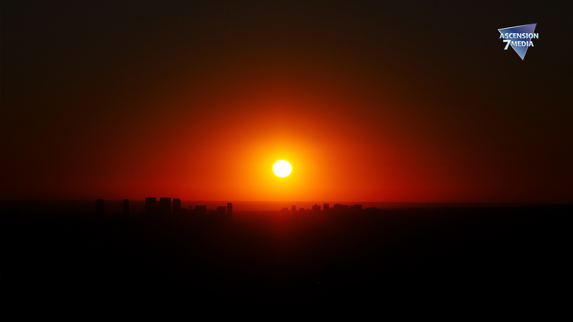 To Live and Die in L.A.