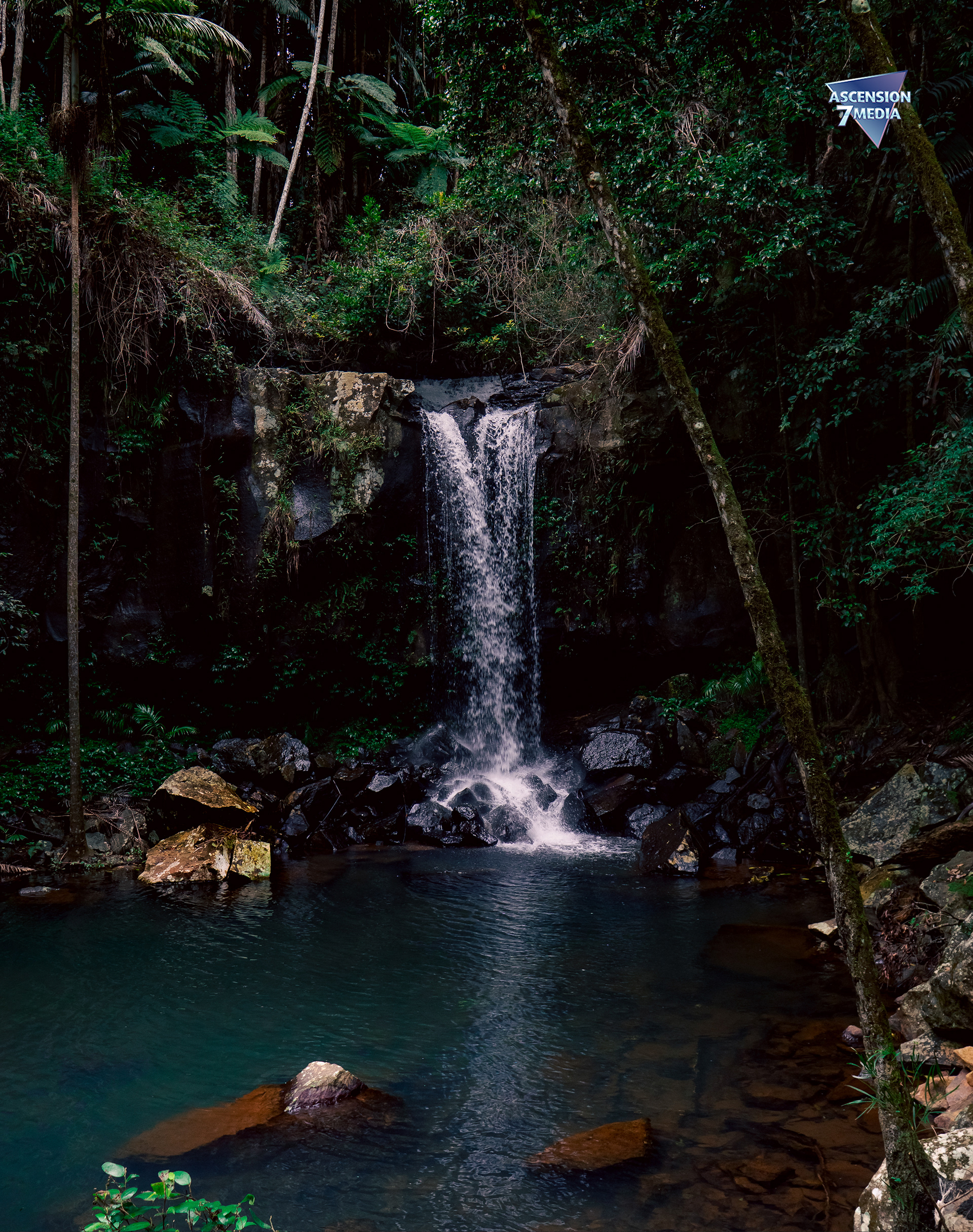 Nature Is Kind