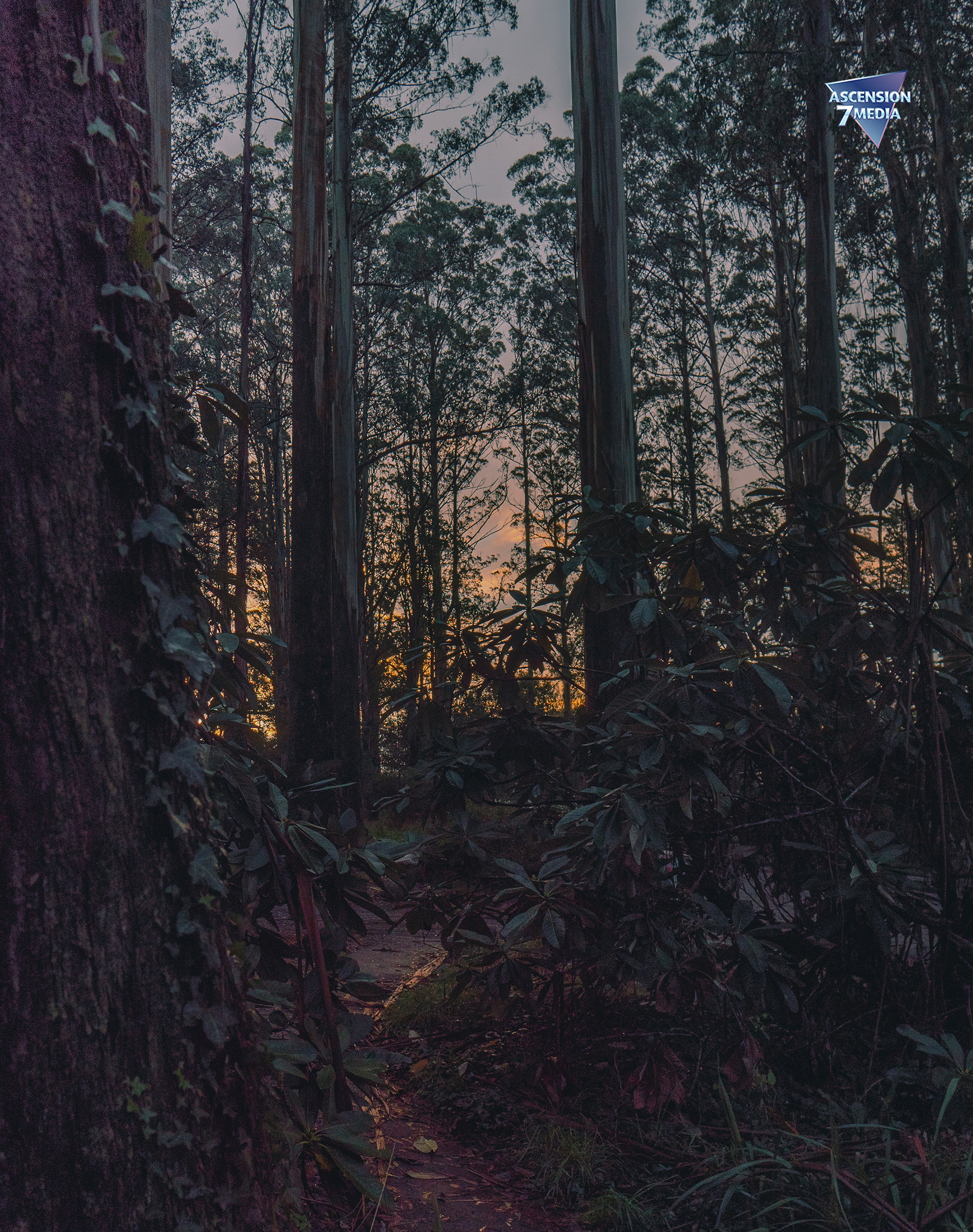 The Place Beyond The Pines