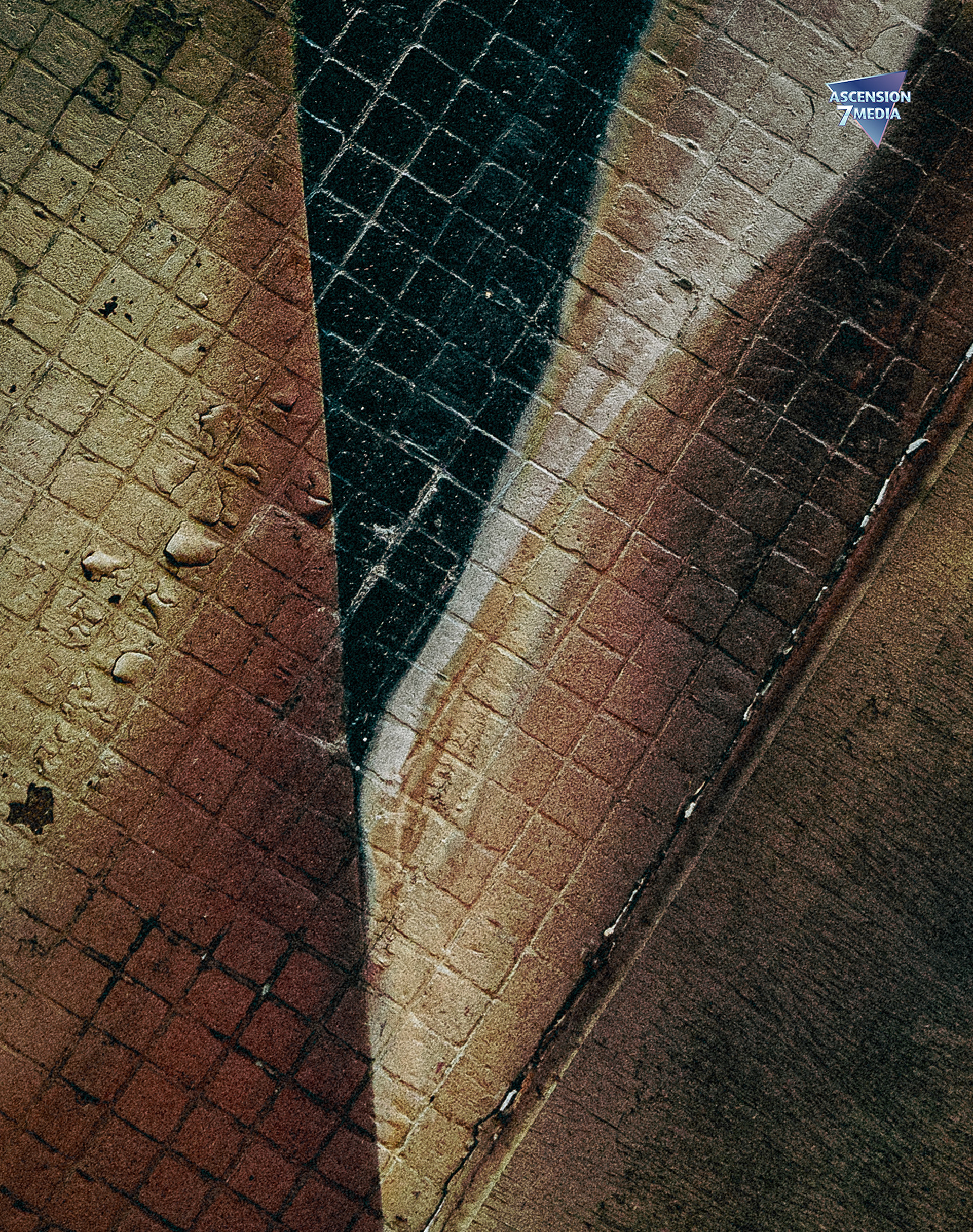 Asylum