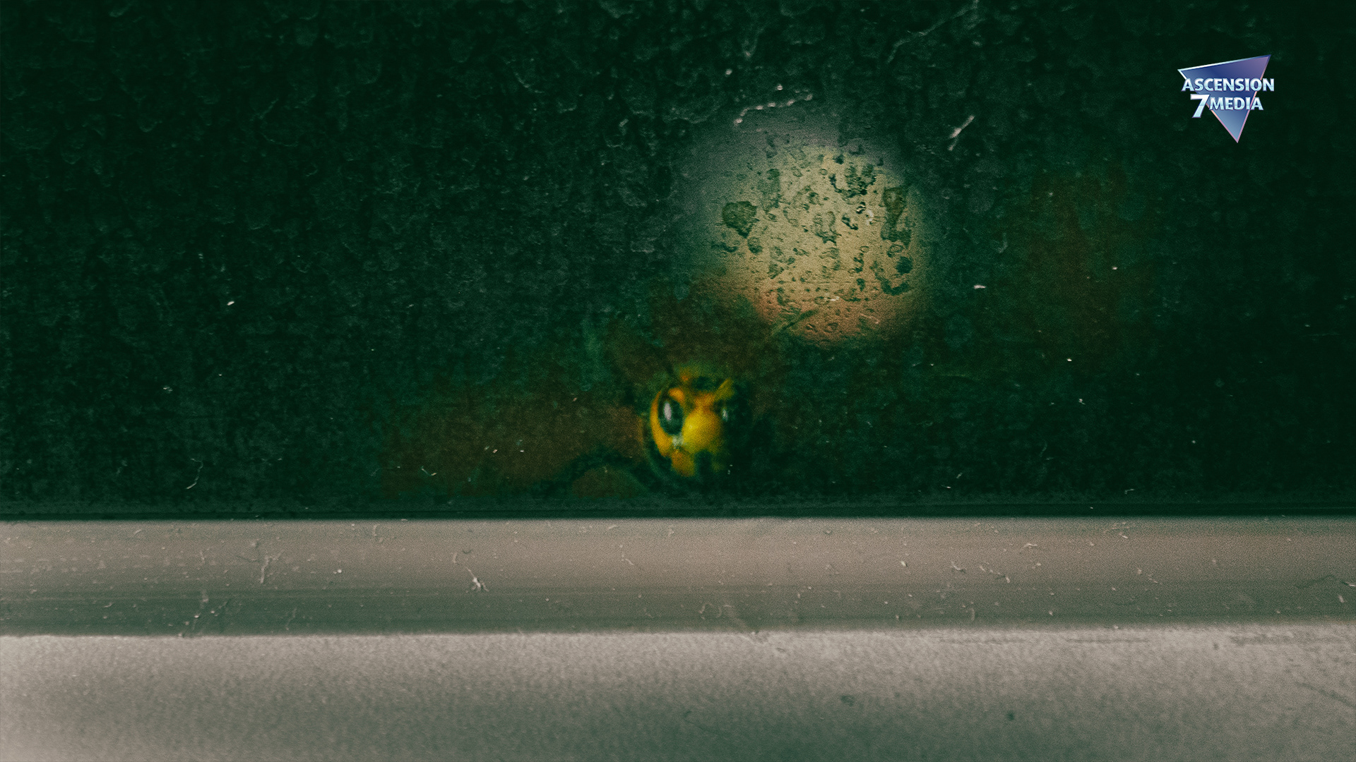 Out of a Nightmare
