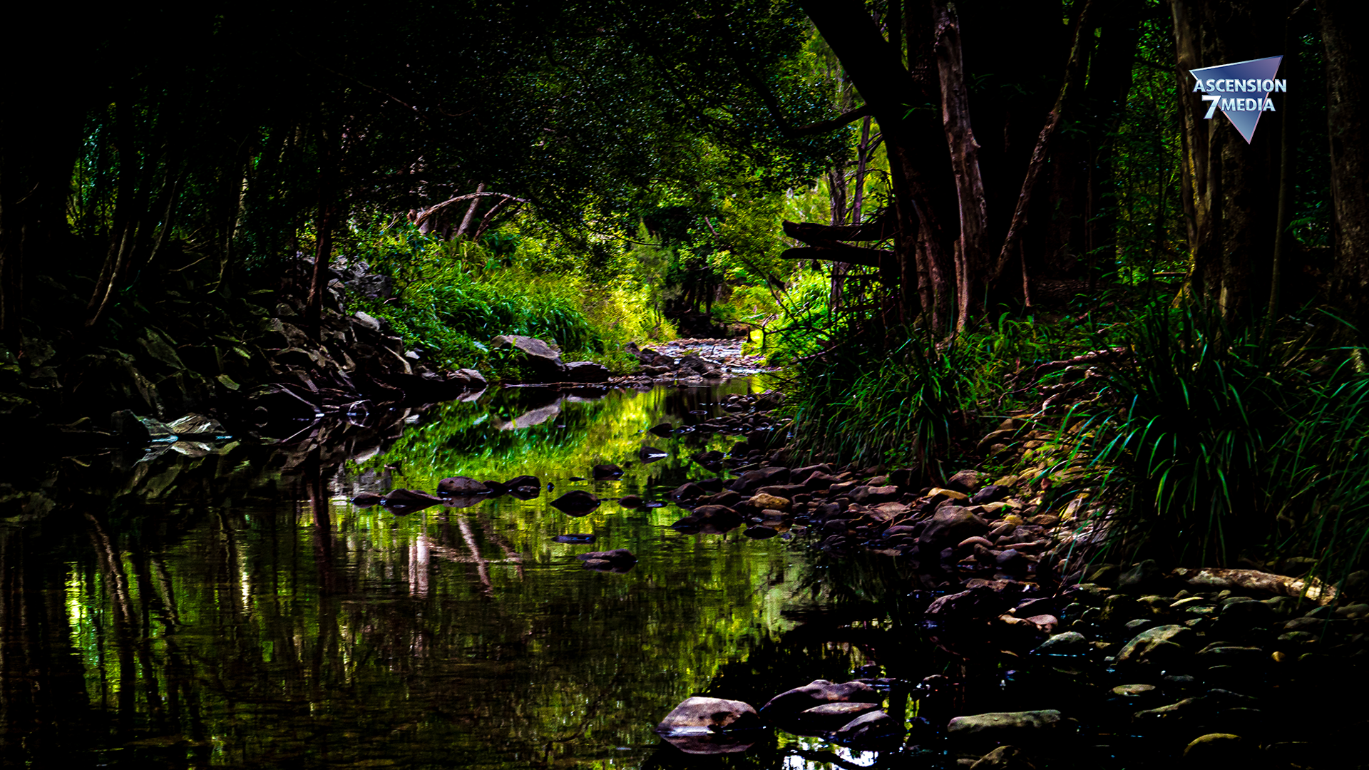 Down By the River