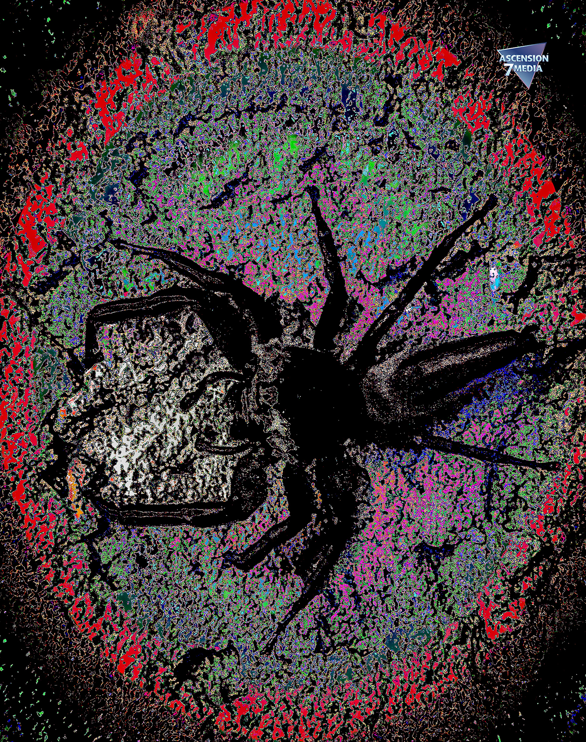 Anansi